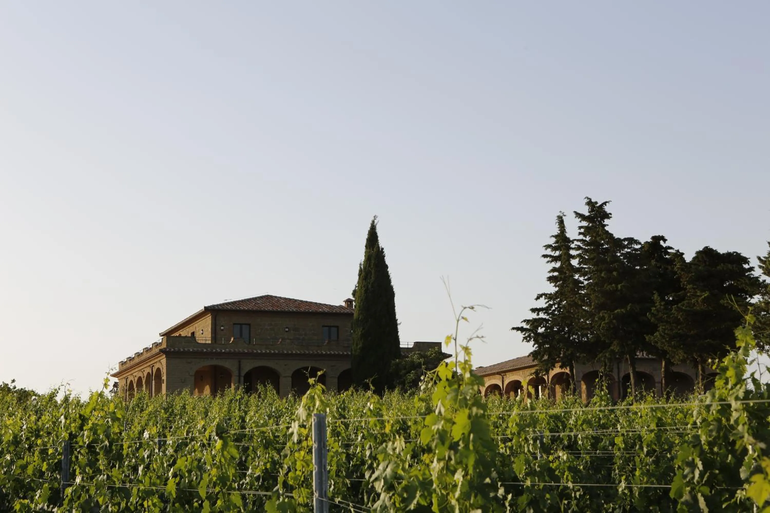 View (from property/room) in Agriturismo Poggio Al Tufo