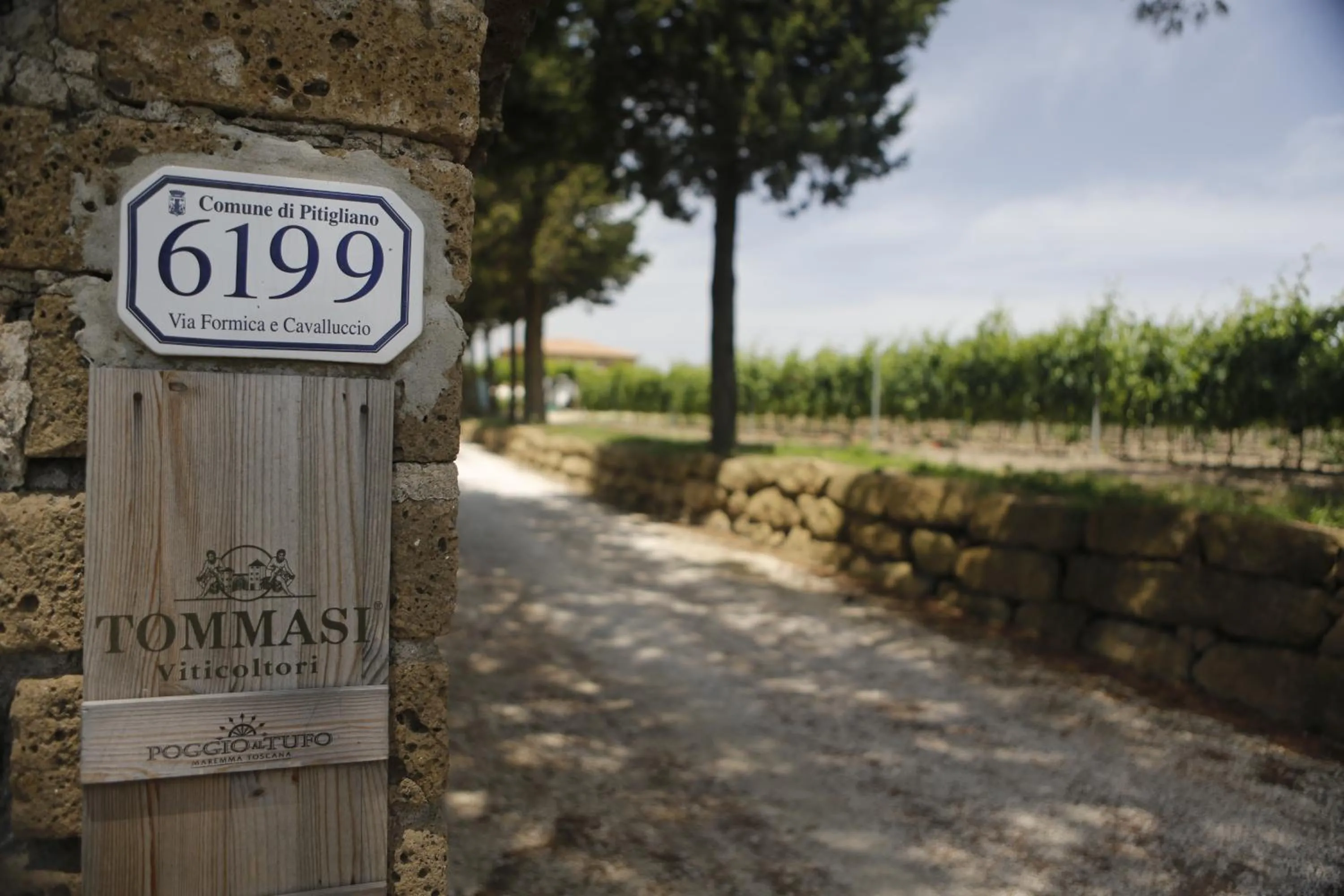 View (from property/room) in Agriturismo Poggio Al Tufo