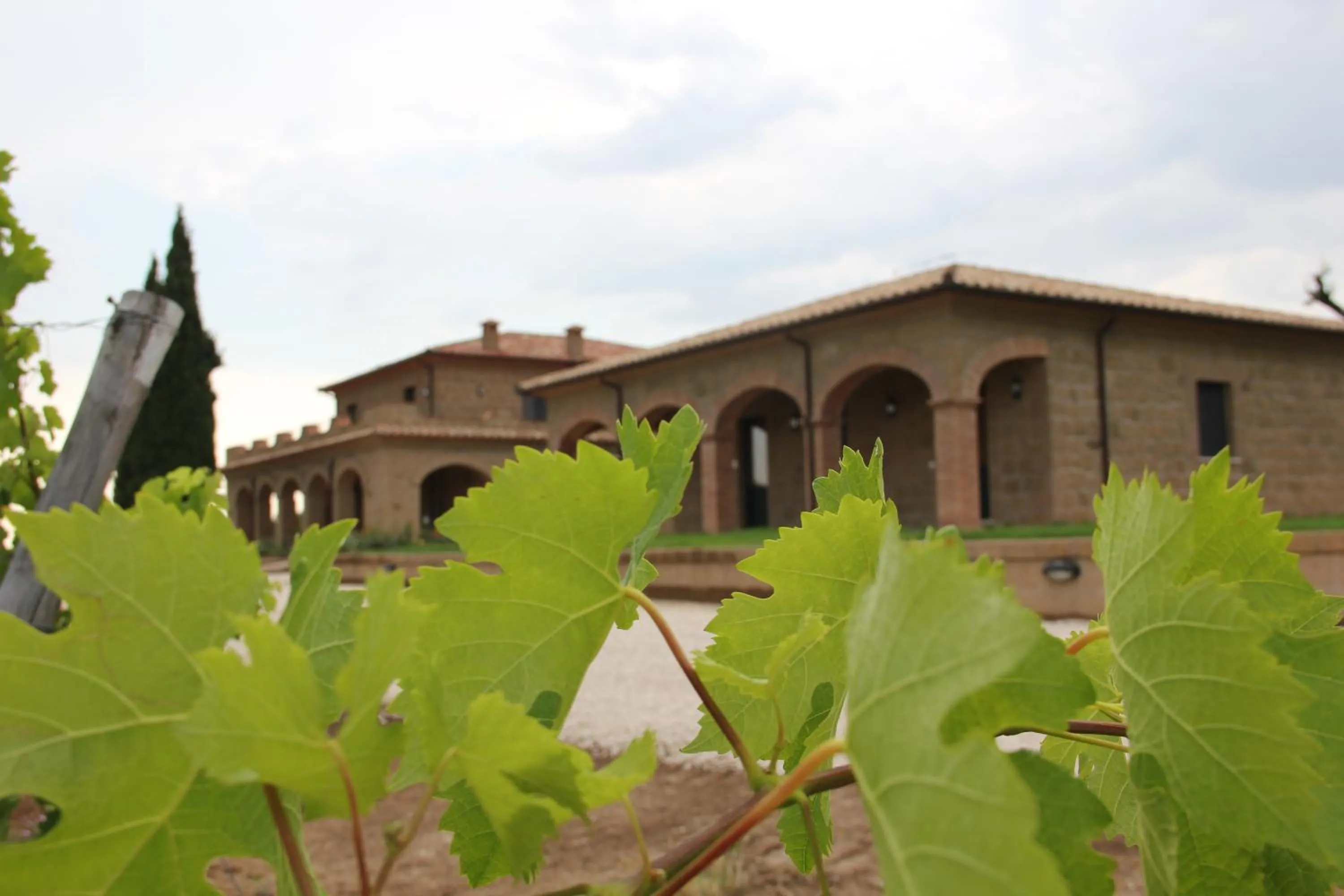 Facade/entrance in Agriturismo Poggio Al Tufo