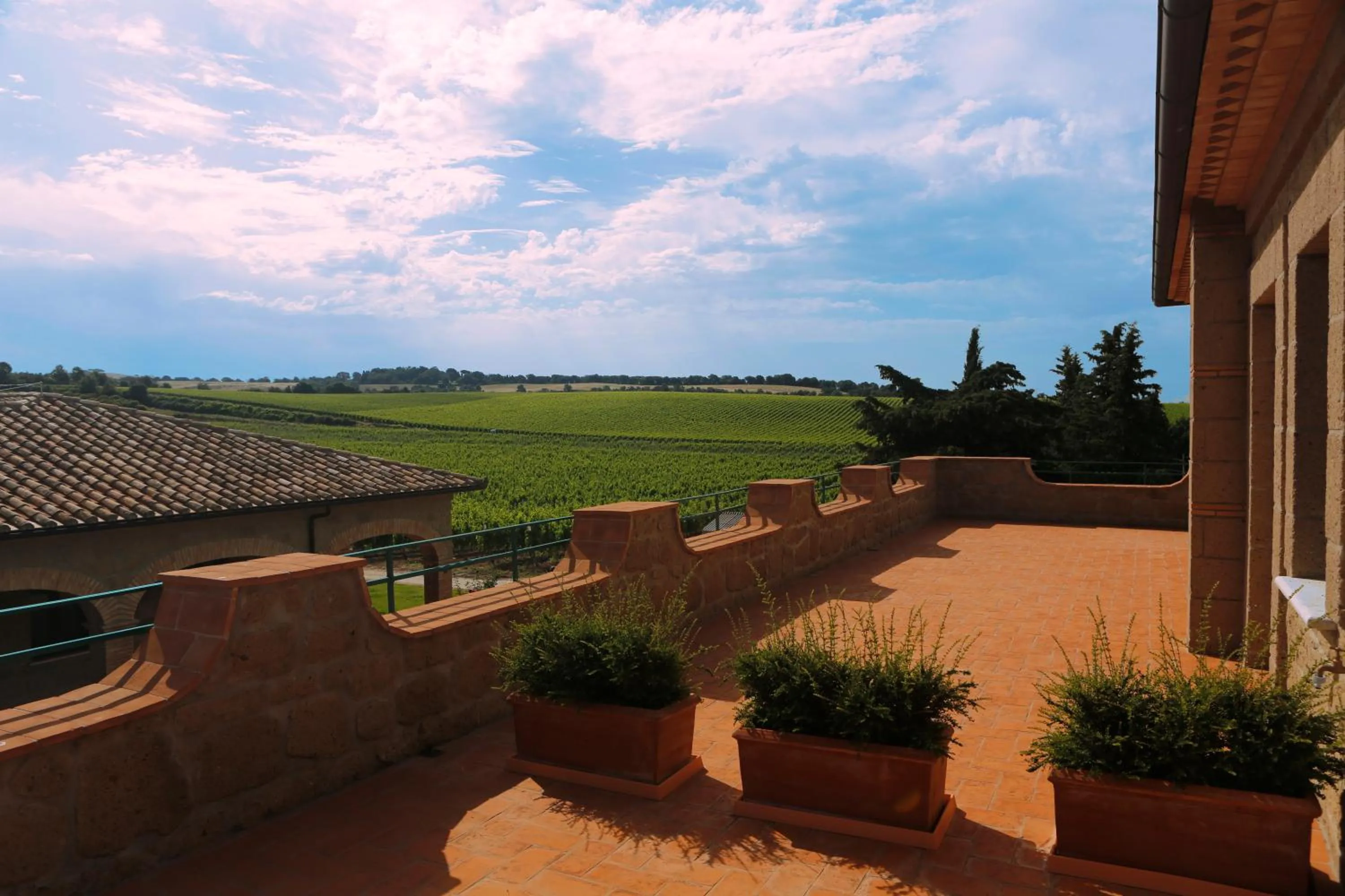 Balcony/Terrace in Agriturismo Poggio Al Tufo