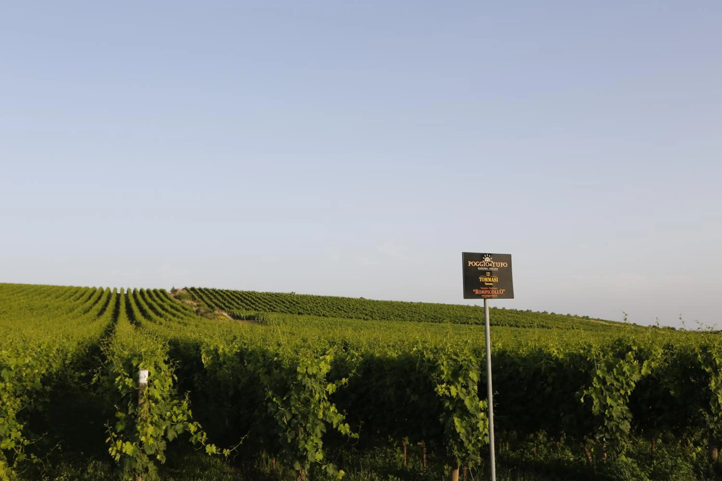 View (from property/room) in Agriturismo Poggio Al Tufo
