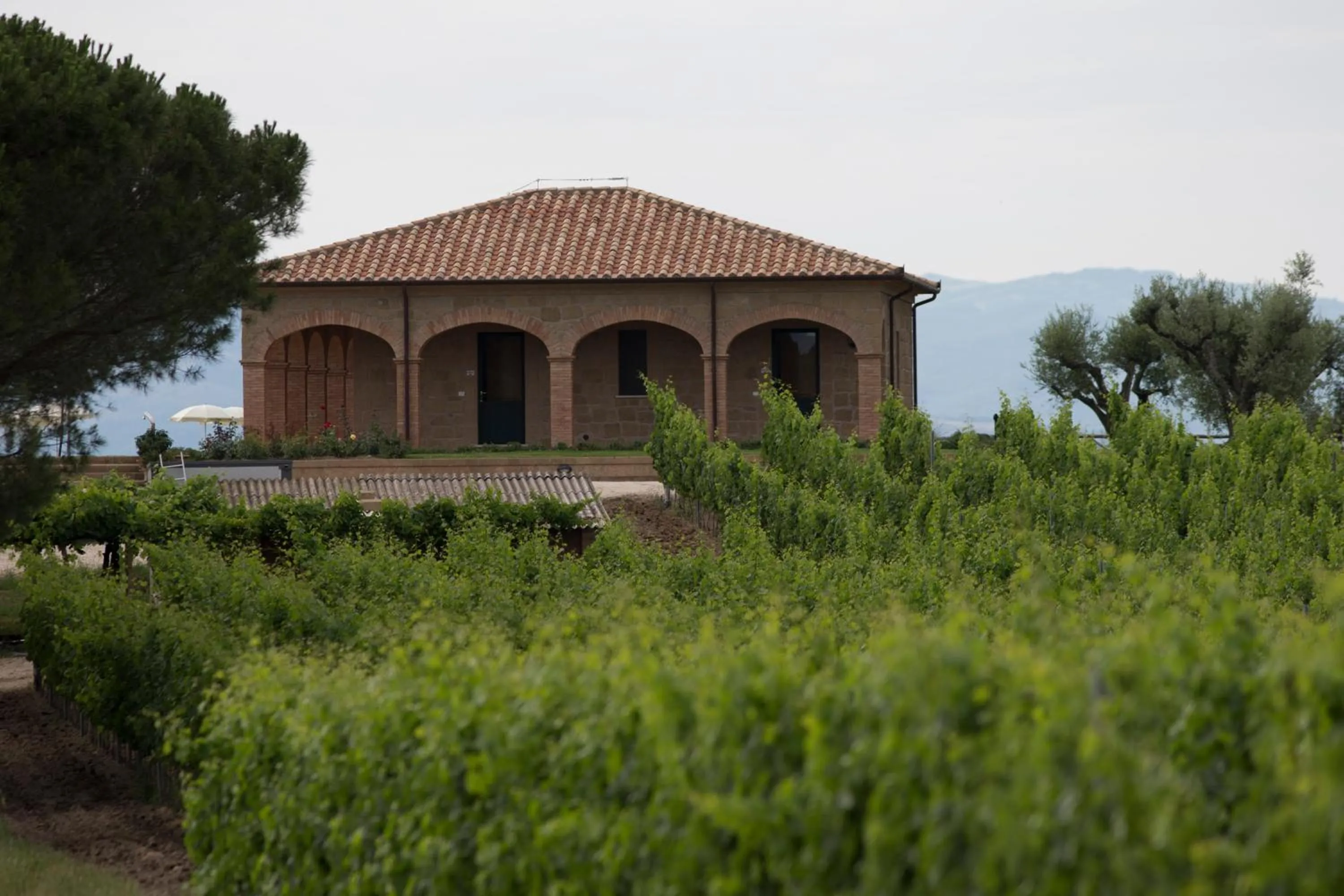 View (from property/room) in Agriturismo Poggio Al Tufo
