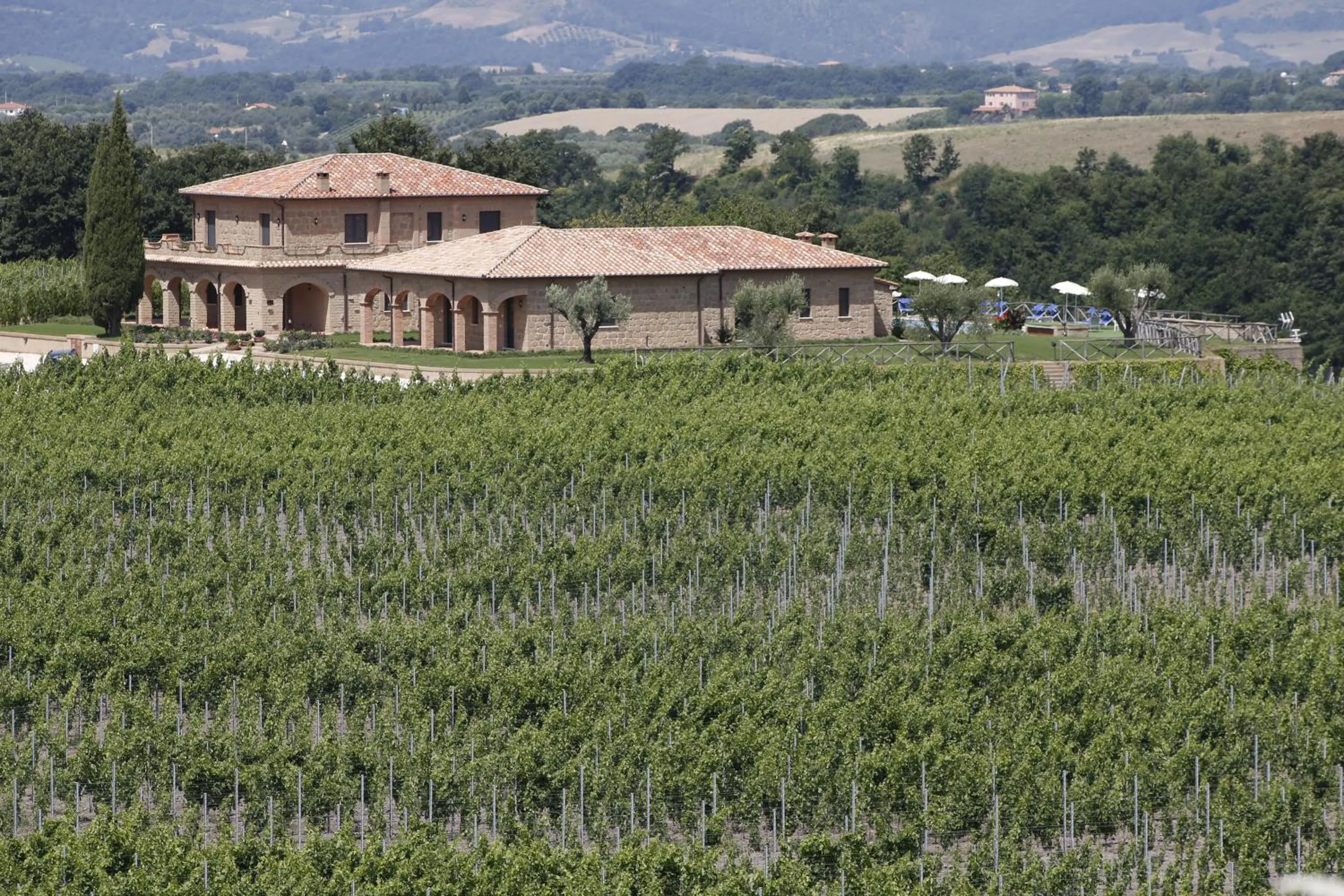 View (from property/room) in Agriturismo Poggio Al Tufo