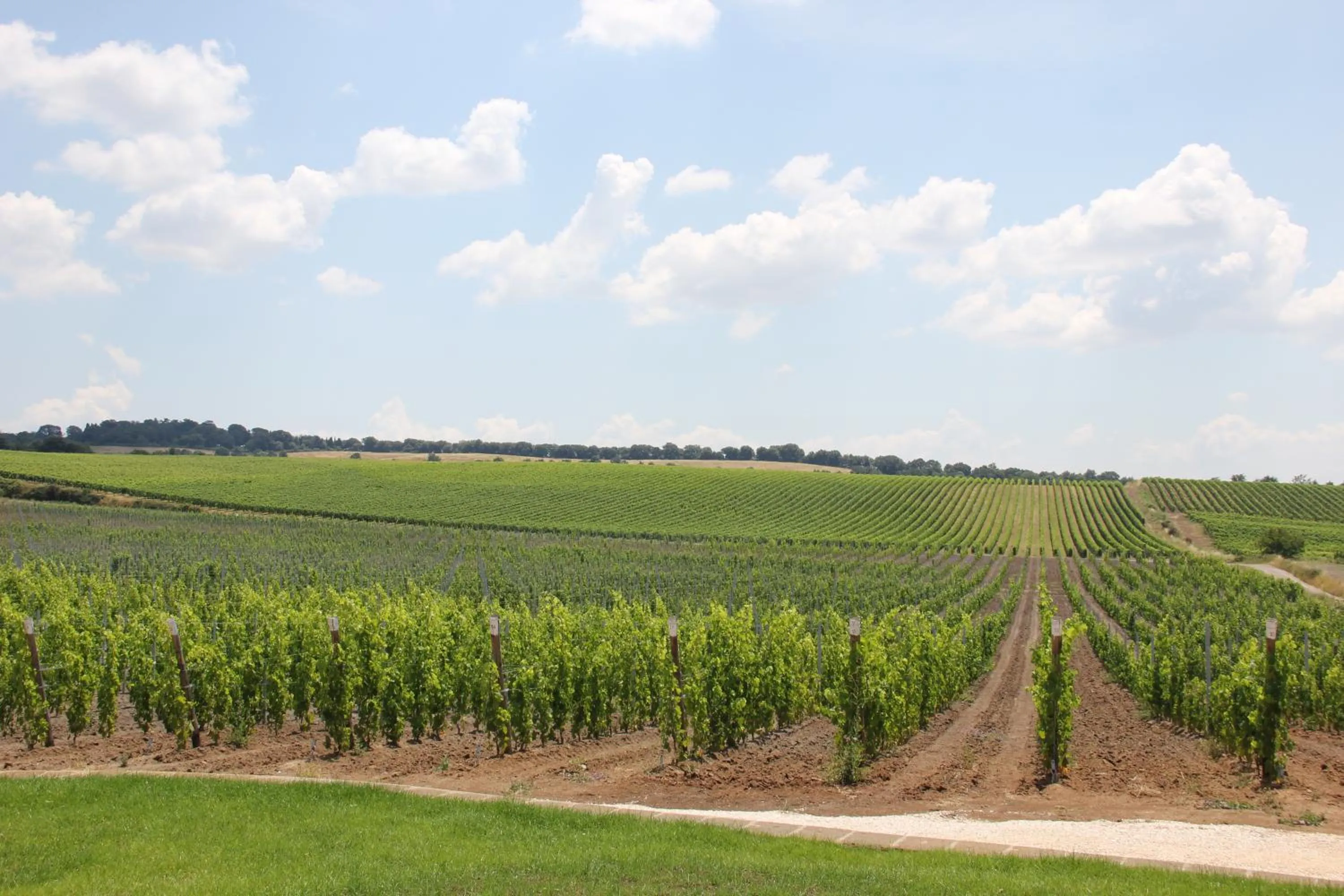 Property building in Agriturismo Poggio Al Tufo