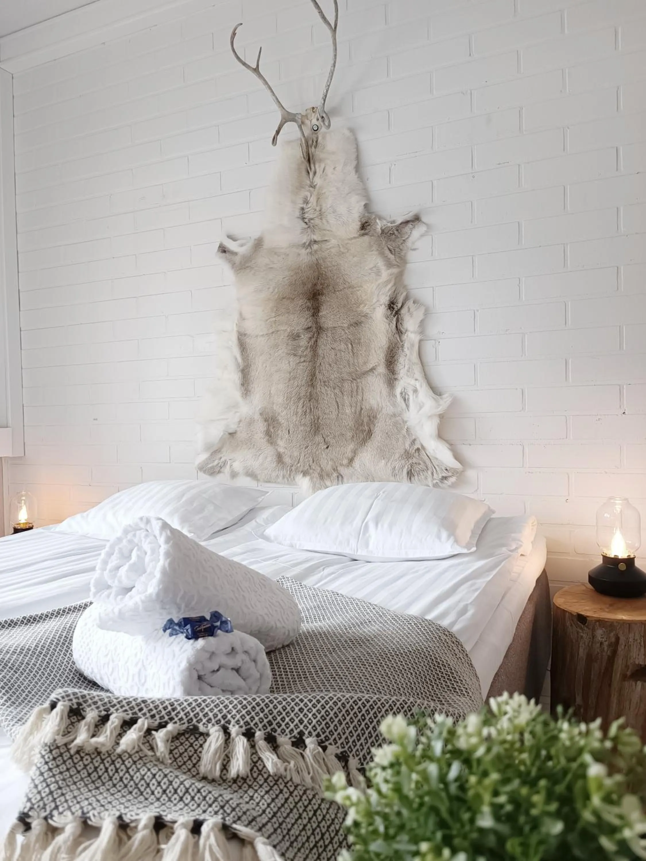 Photo of the whole room, Bed in Goiglo Hotel & Hostel