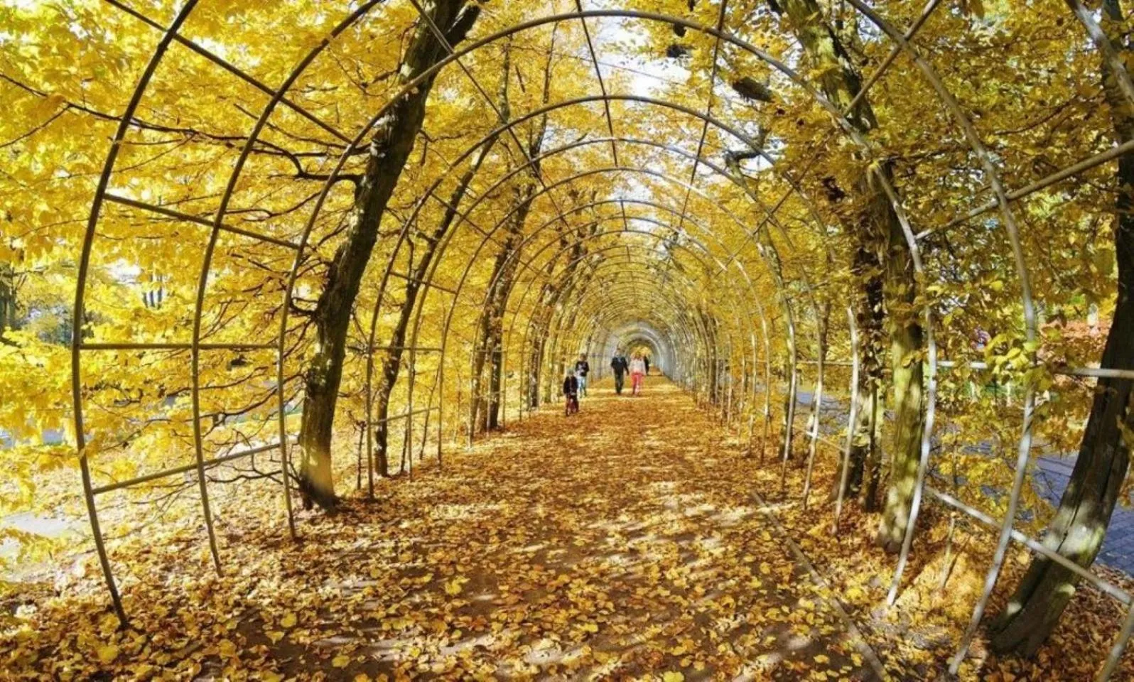 Nearby landmark in Apartamenty BalticON Nadmorskie Tarasy