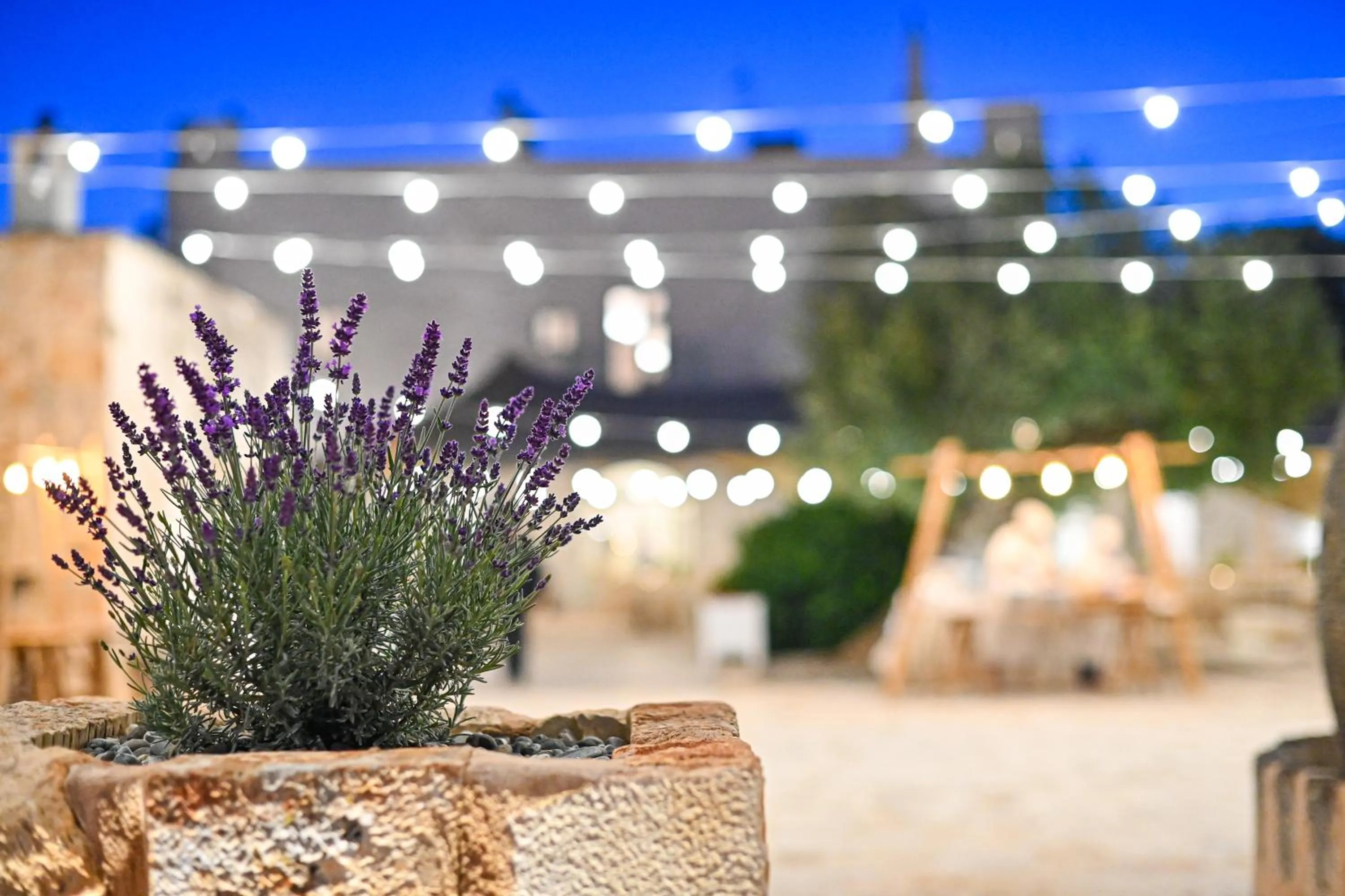 Other in Masseria Ayroldi