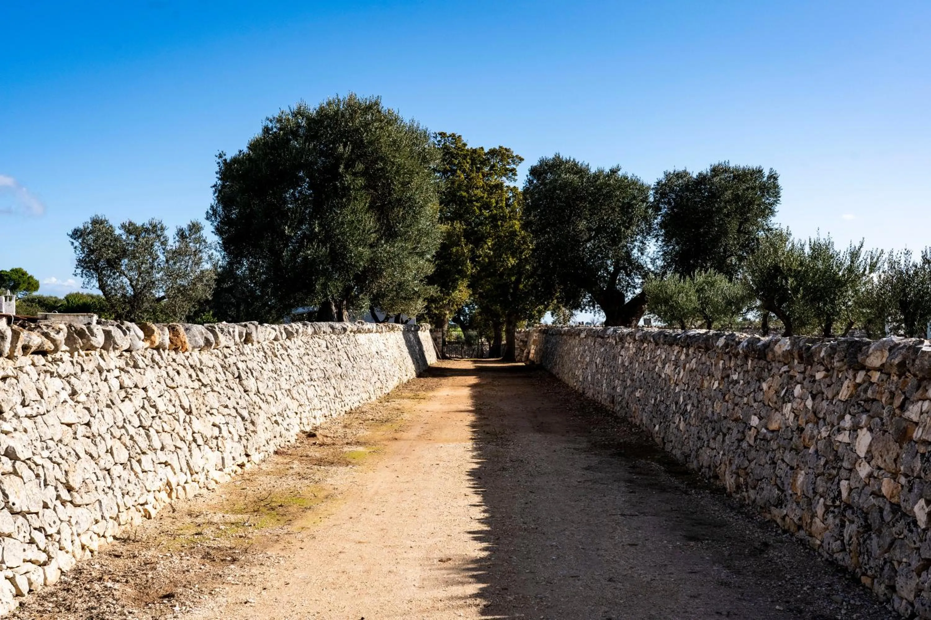 Natural landscape in Masseria Ayroldi