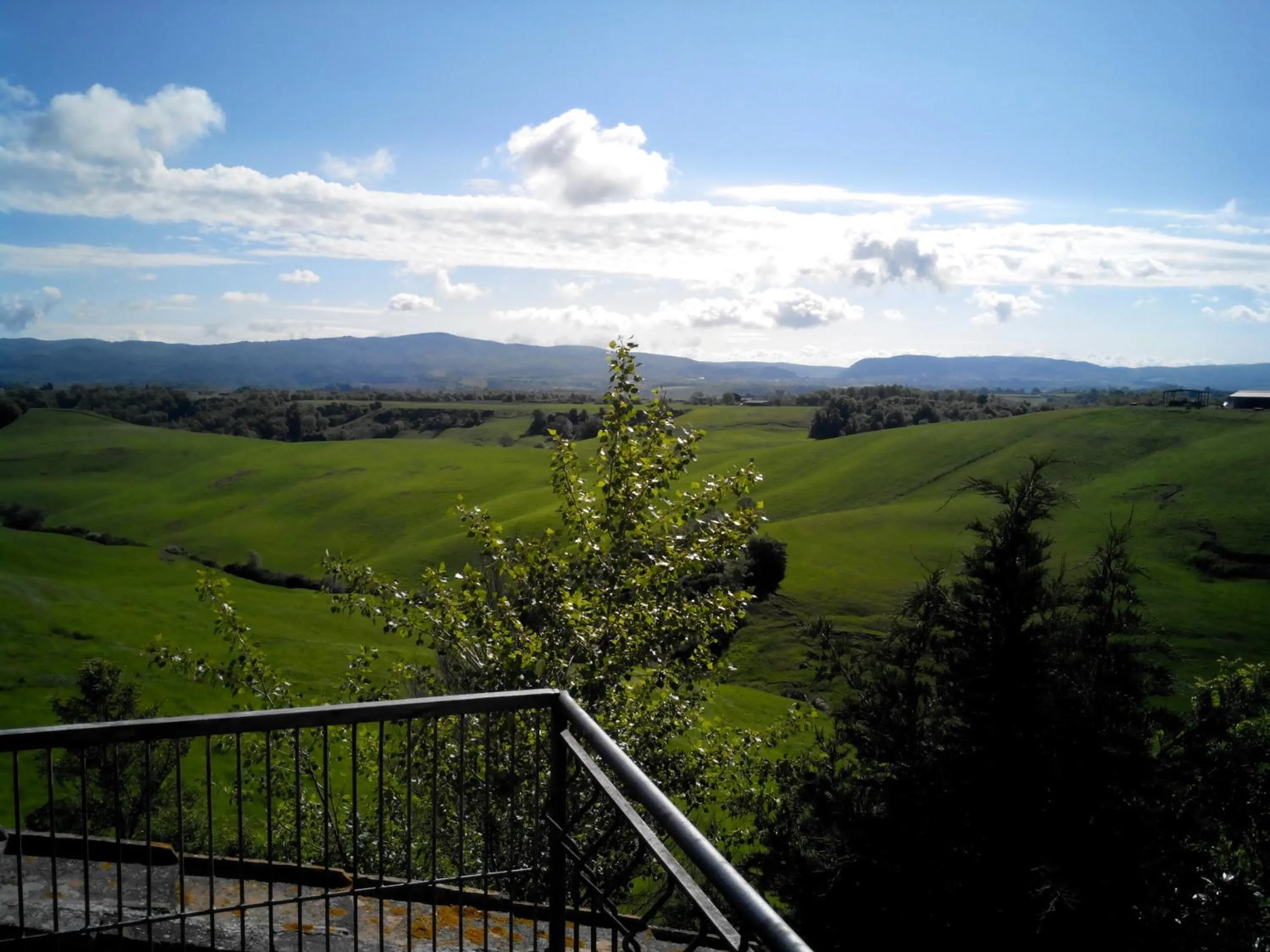 Natural landscape in Certine Agriturismo