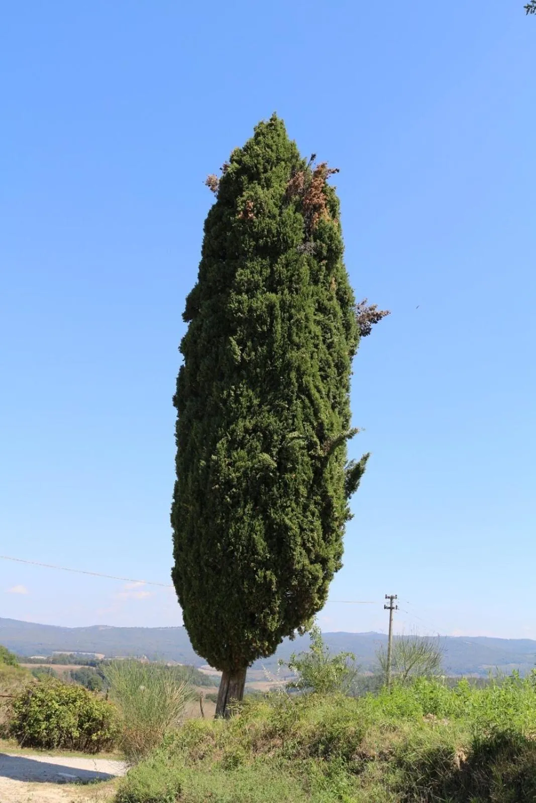 Decorative detail in Certine Agriturismo
