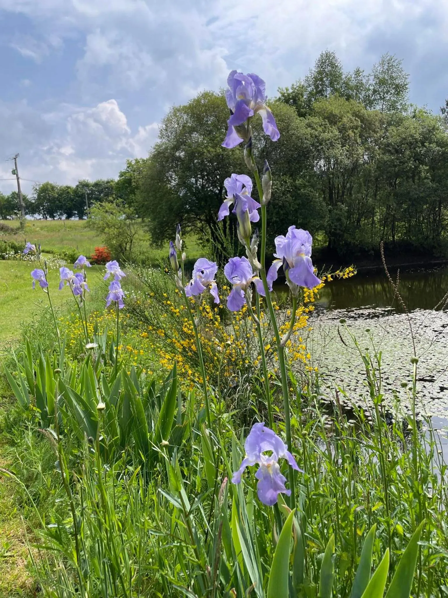 View (from property/room) in Chambres d'Hôtes La Chouette