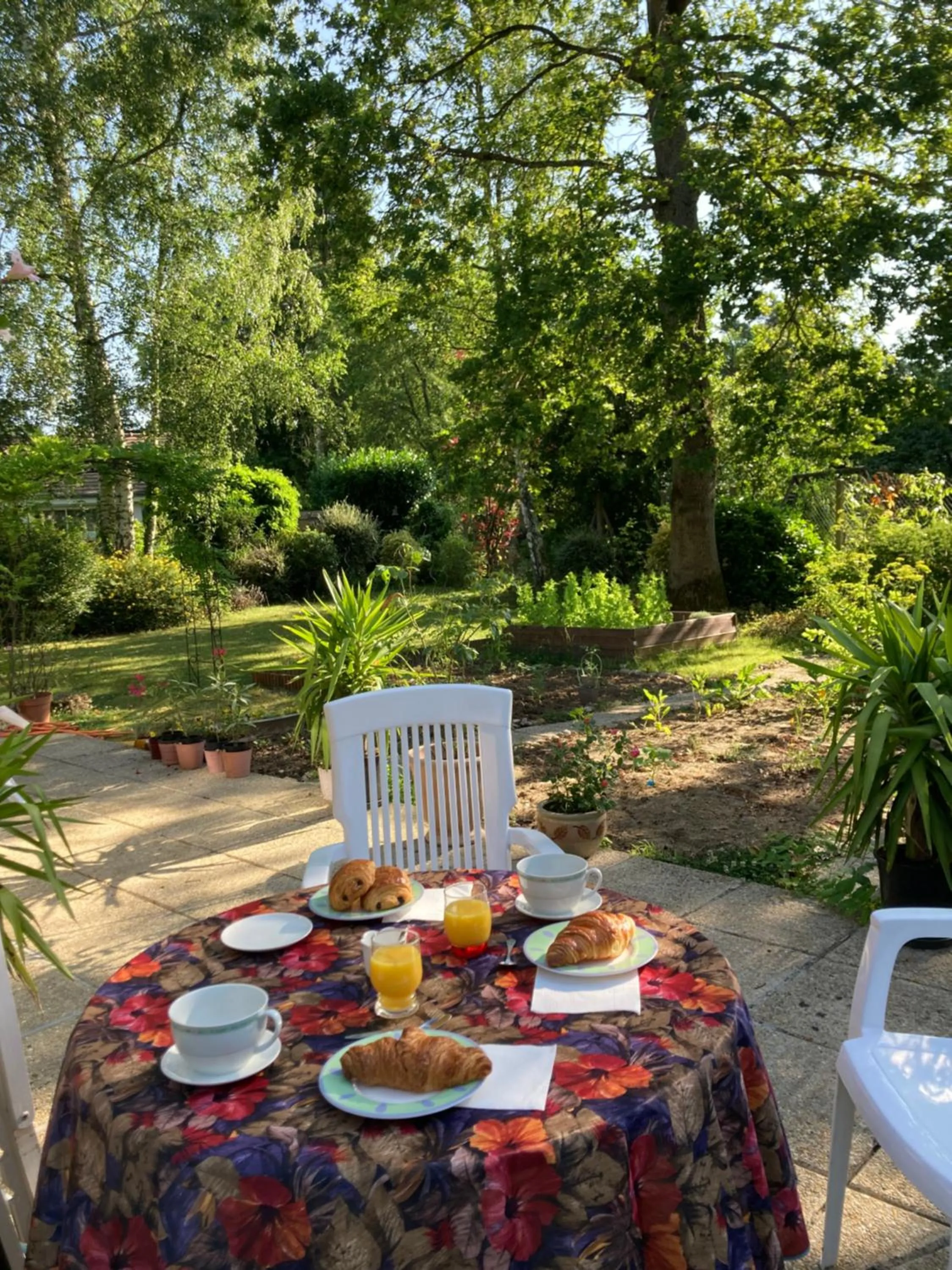 Garden in Maison Chevreuse, chambre chez l'habitant