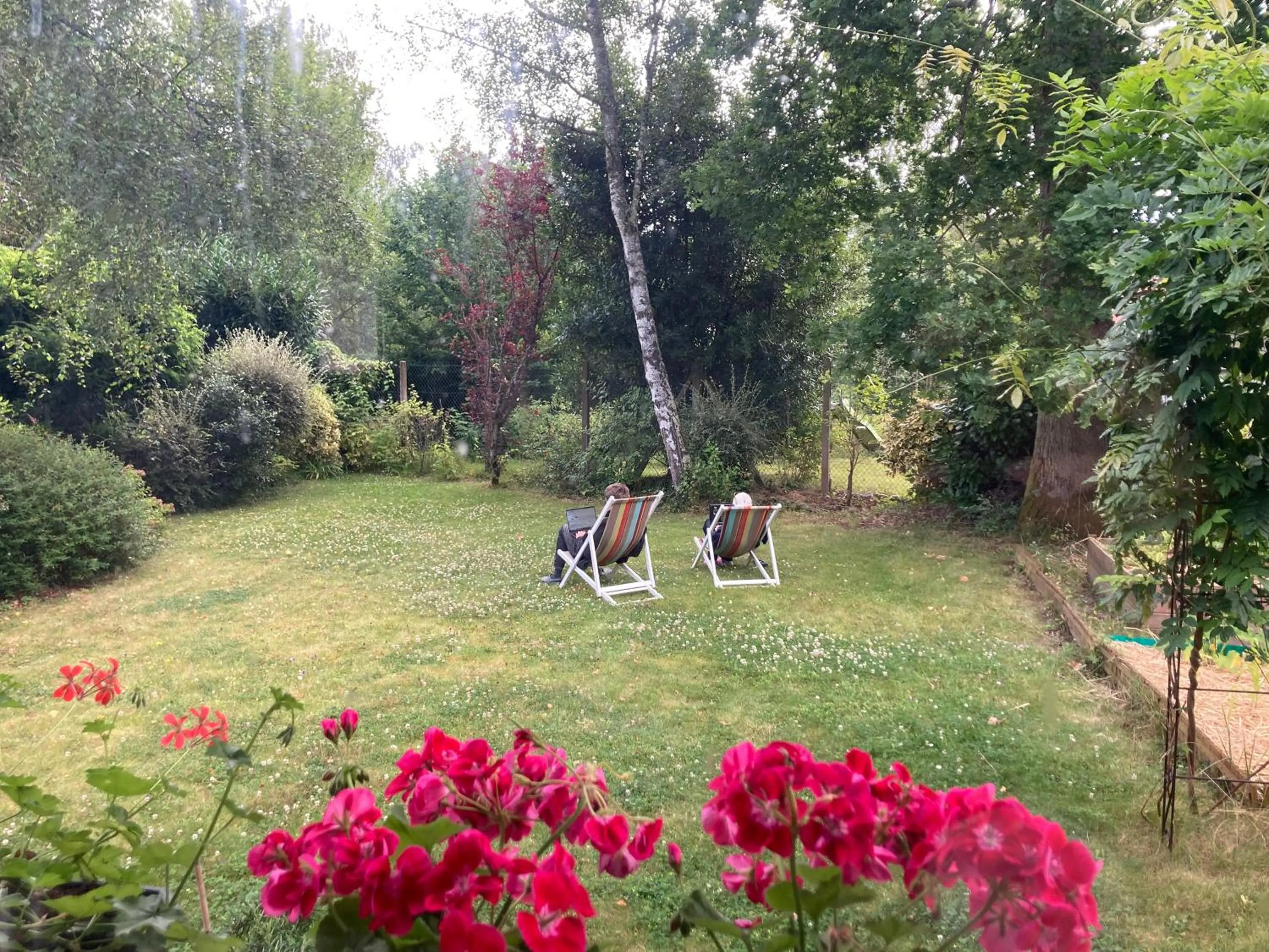 Garden in Maison Chevreuse, chambre chez l'habitant