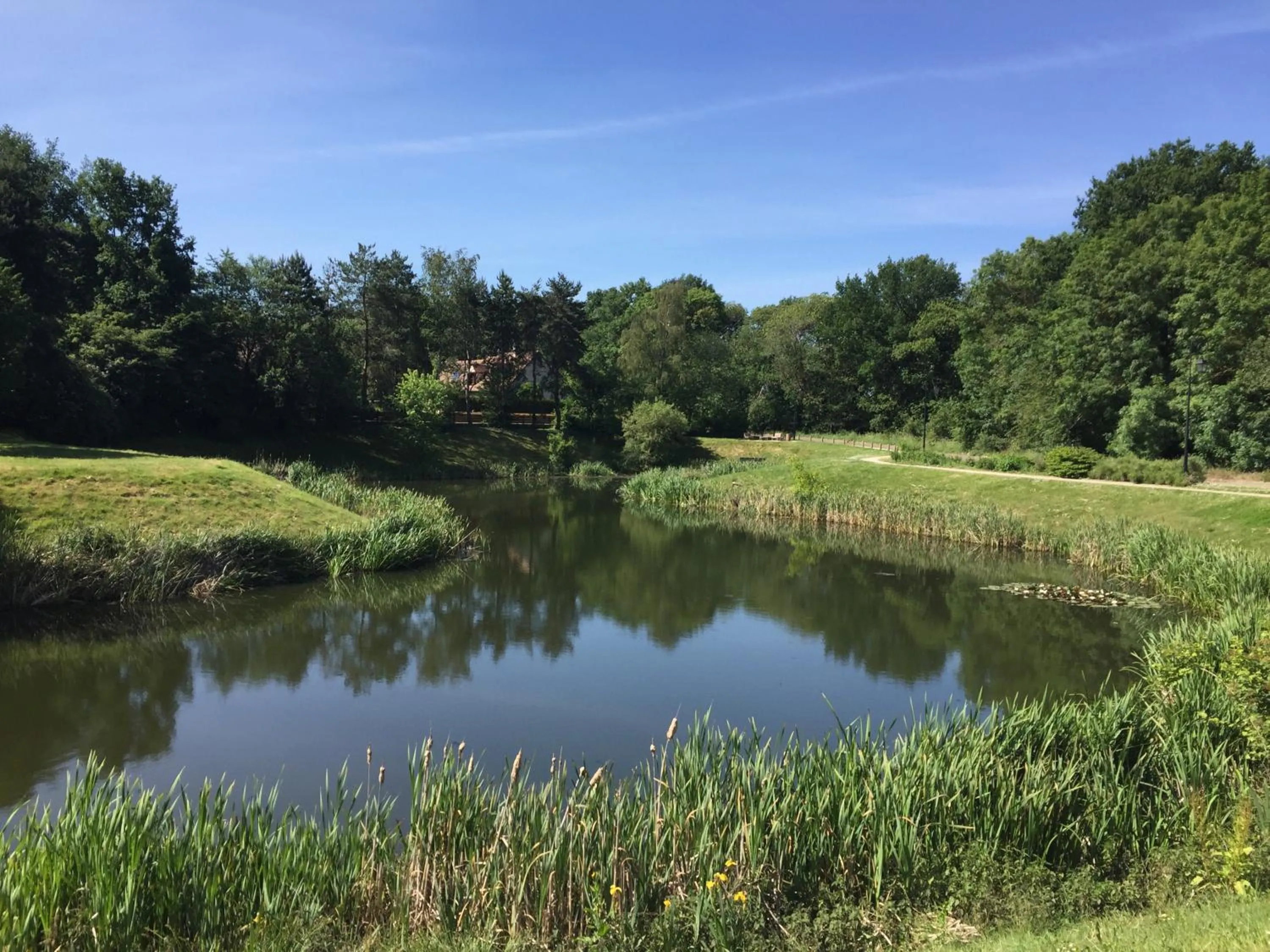 Natural landscape in Maison Chevreuse, chambre chez l'habitant