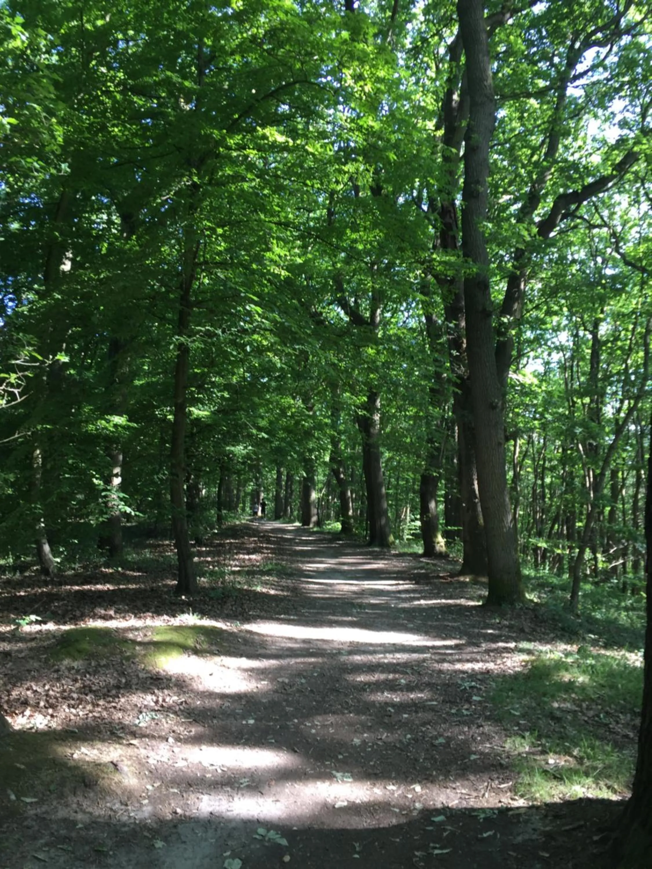 Natural landscape in Maison Chevreuse, chambre chez l'habitant