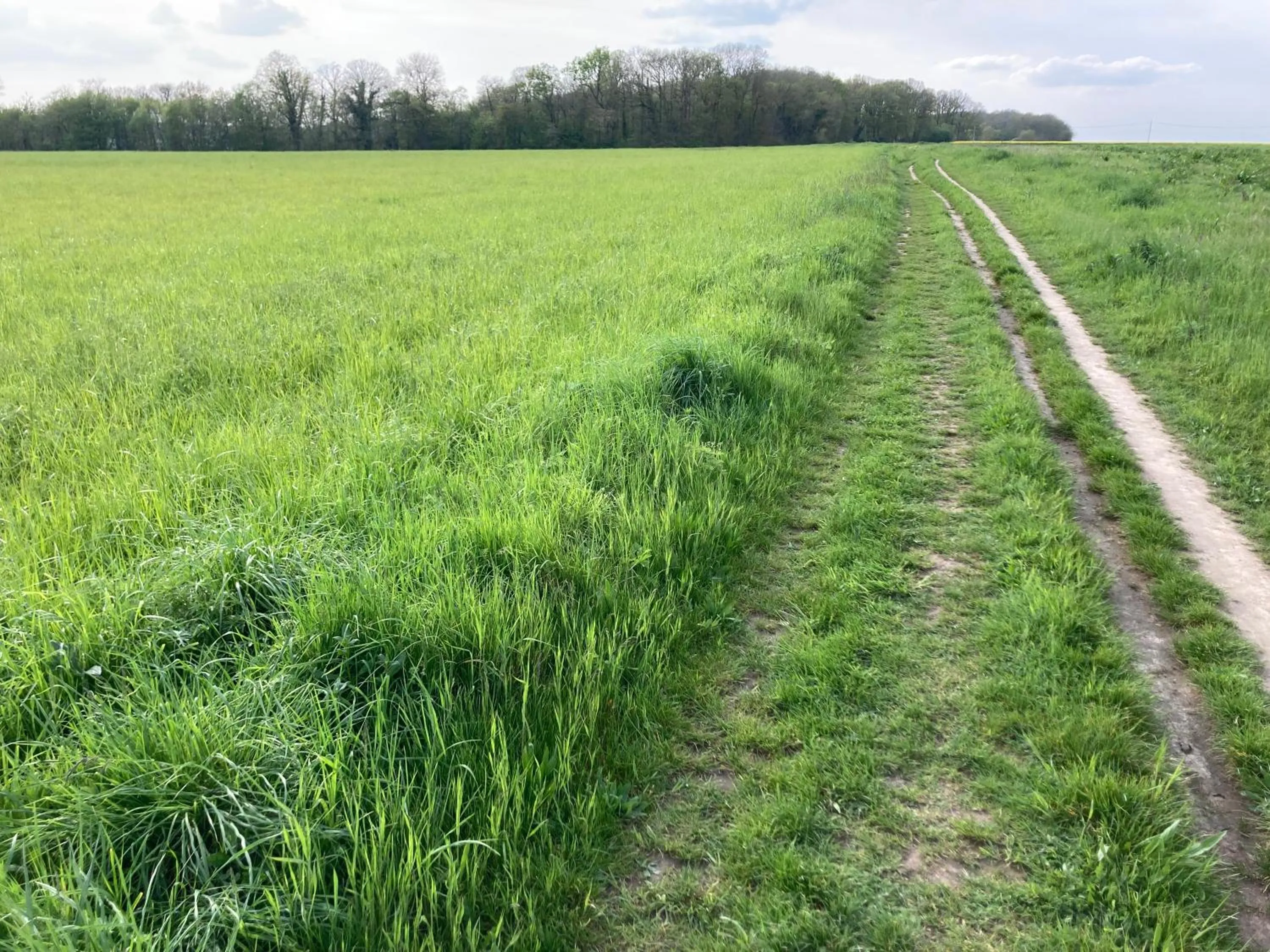 Natural landscape in Maison Chevreuse, chambre chez l'habitant