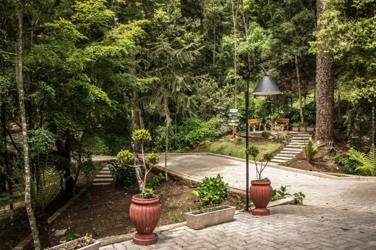 Hotel Cozumel Sierra