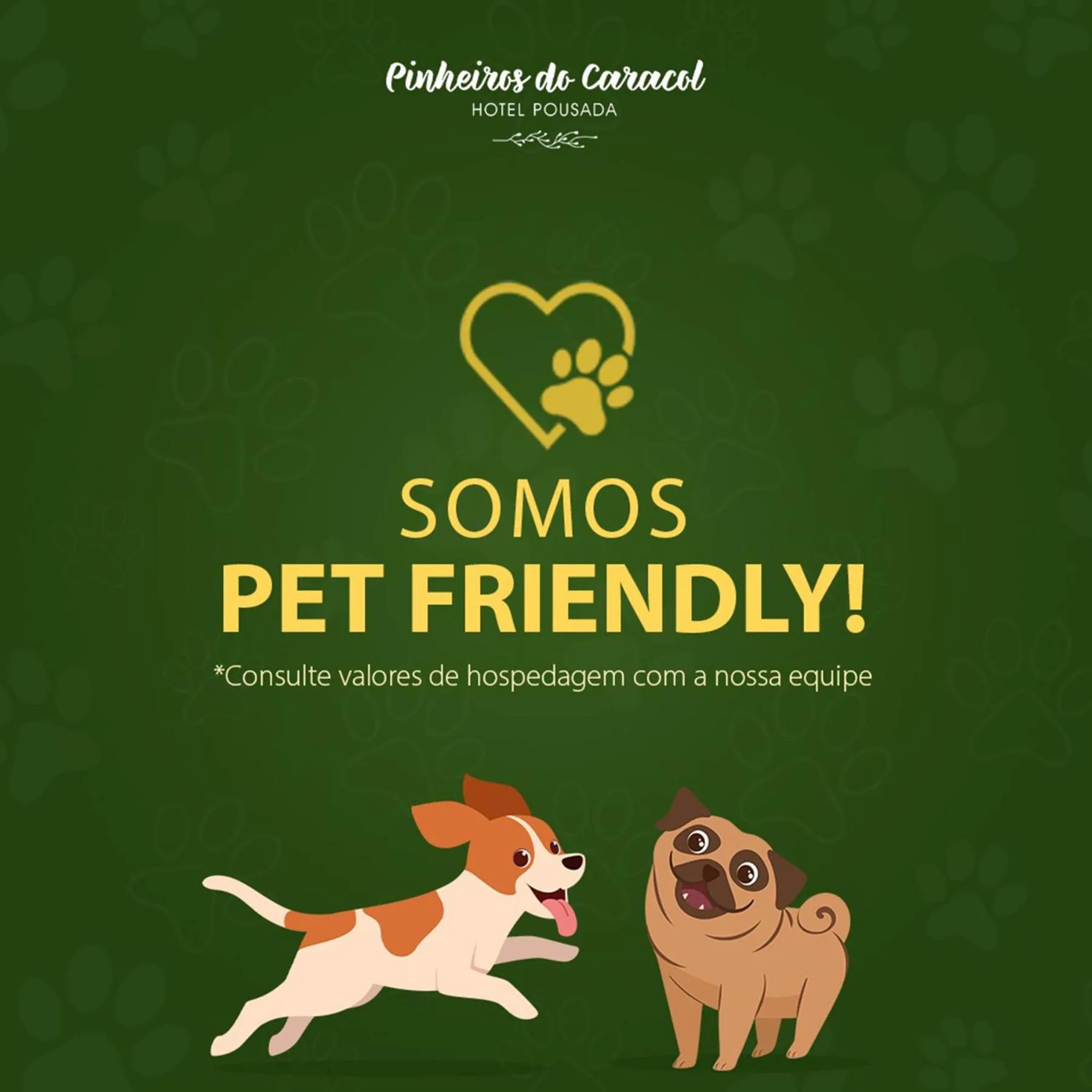 Pets in Hotel Cozumel Sierra