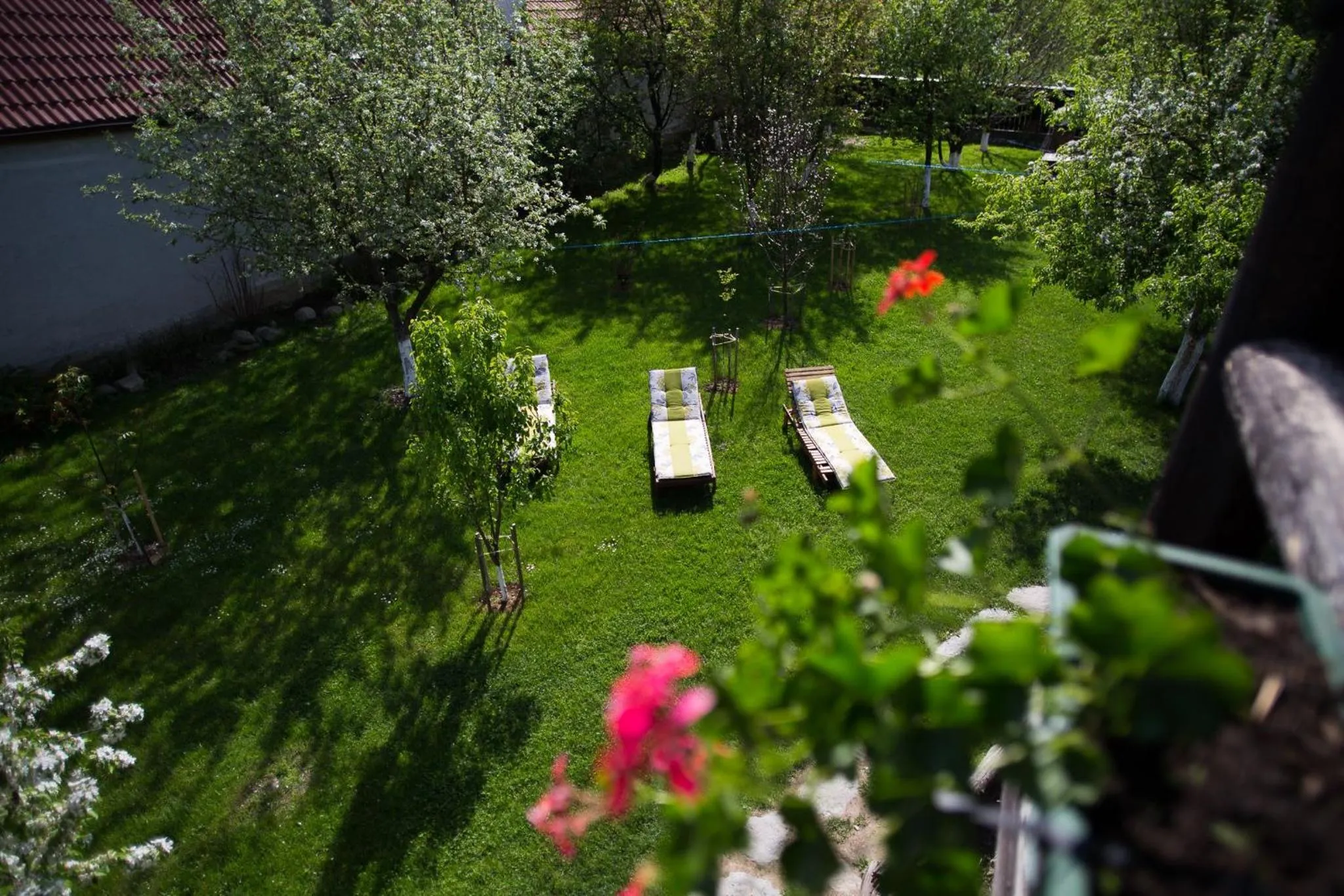 Double Room with Balcony in Casa Mosului - Transfăgărășan Bed & Breakfast