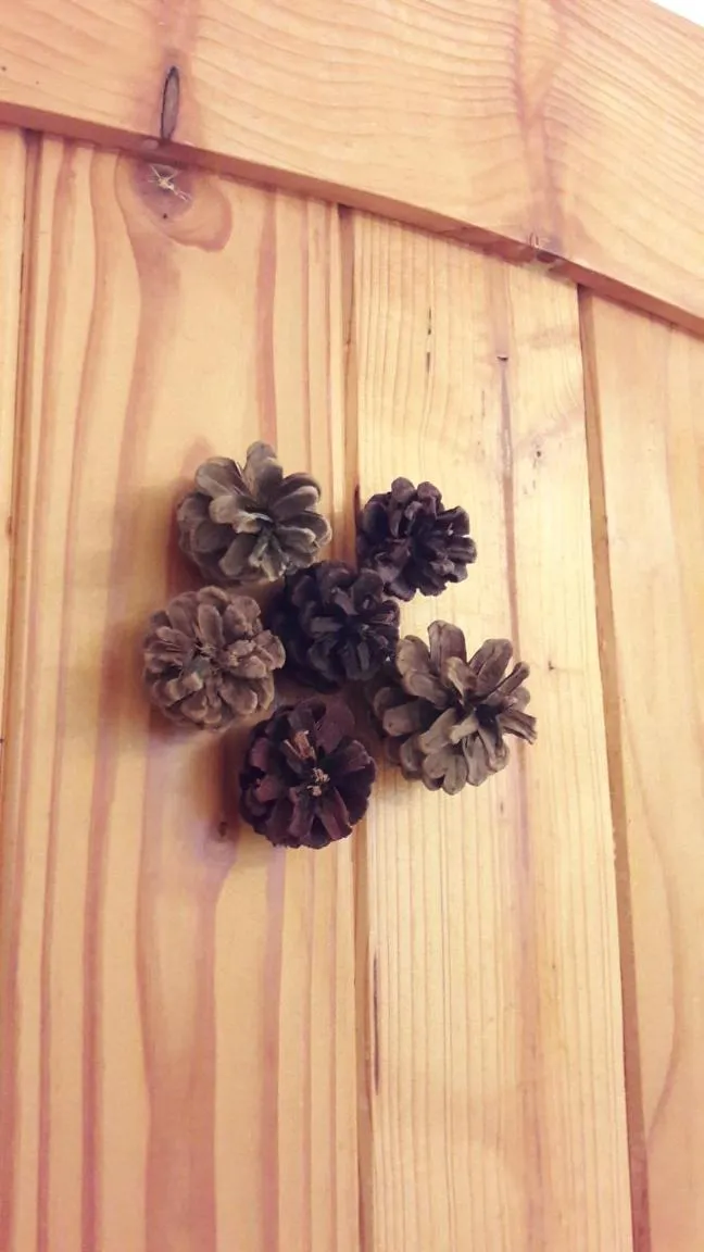 Triple Room with Private Bathroom in Casa Mosului - Transfăgărășan Bed & Breakfast