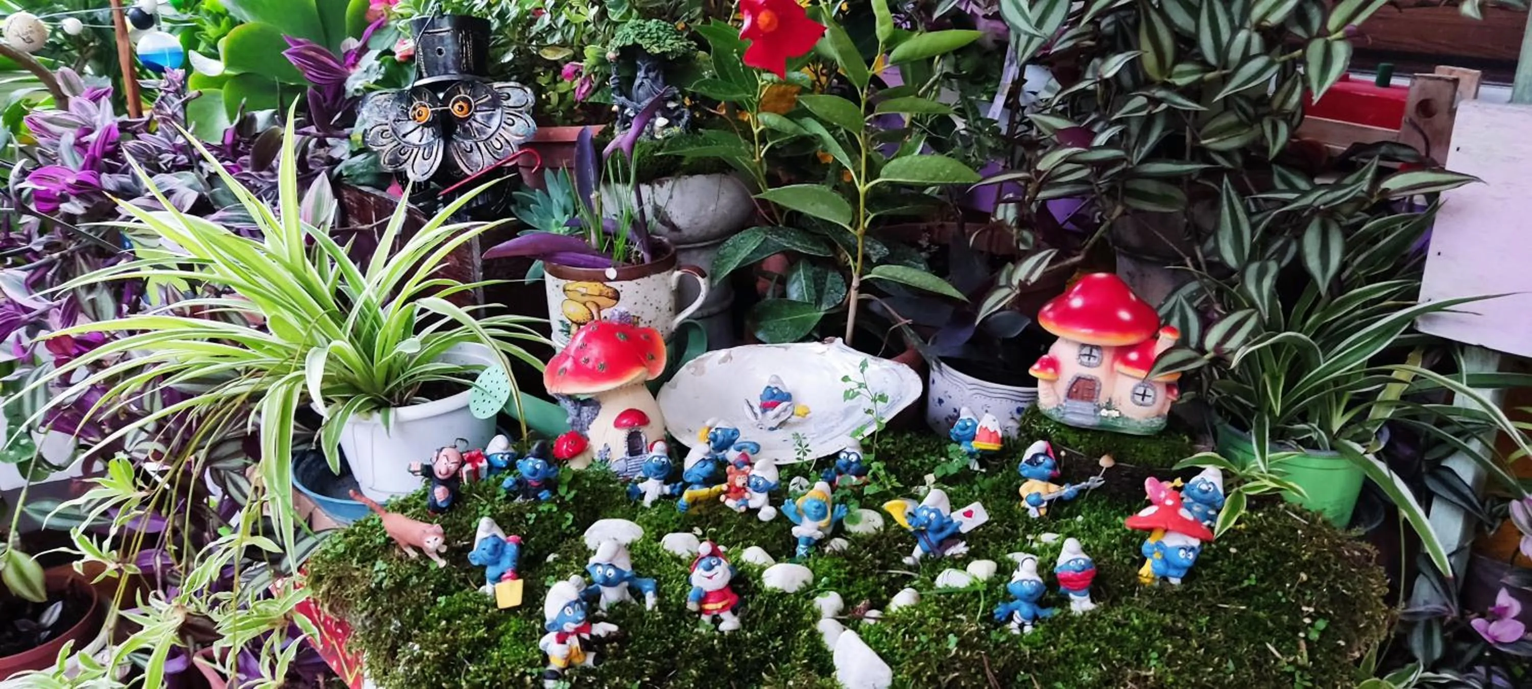 Garden in Nel giardino di Oz