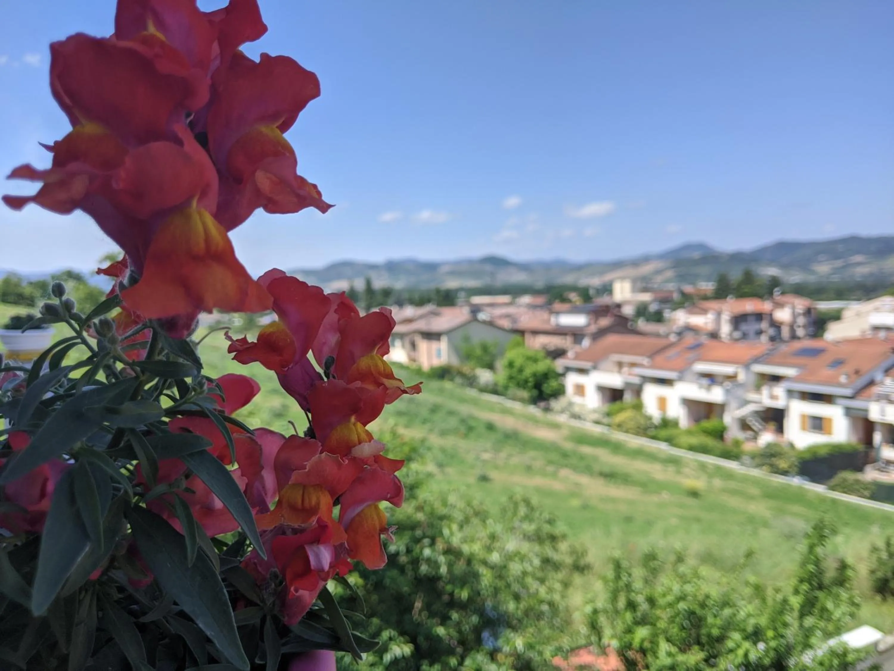View (from property/room) in Nel giardino di Oz
