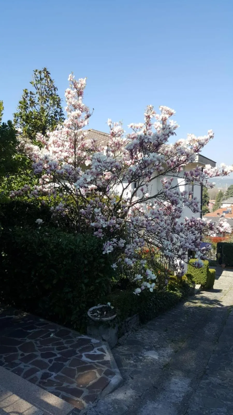 Garden in Nel giardino di Oz