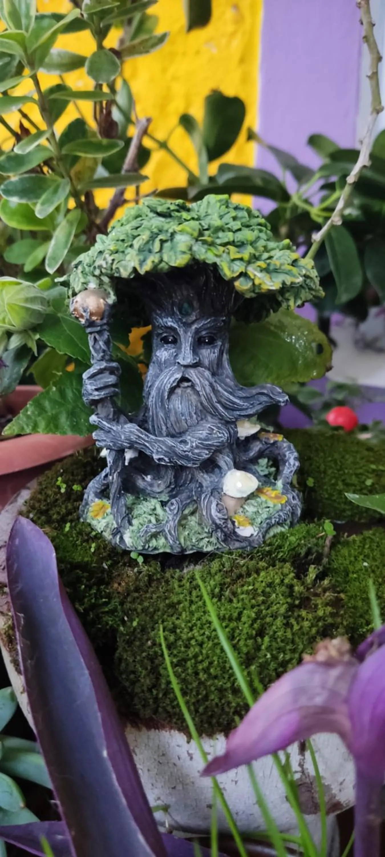 Garden in Nel giardino di Oz