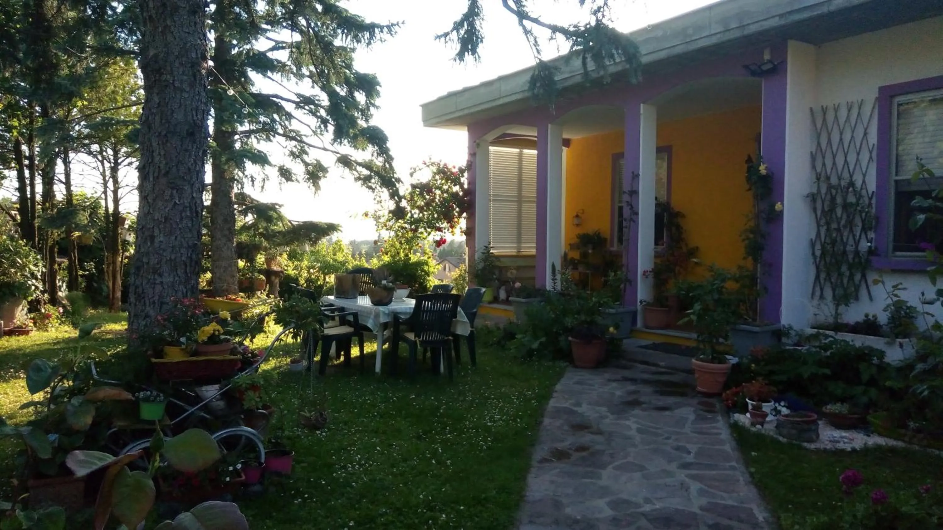 Garden in Nel giardino di Oz