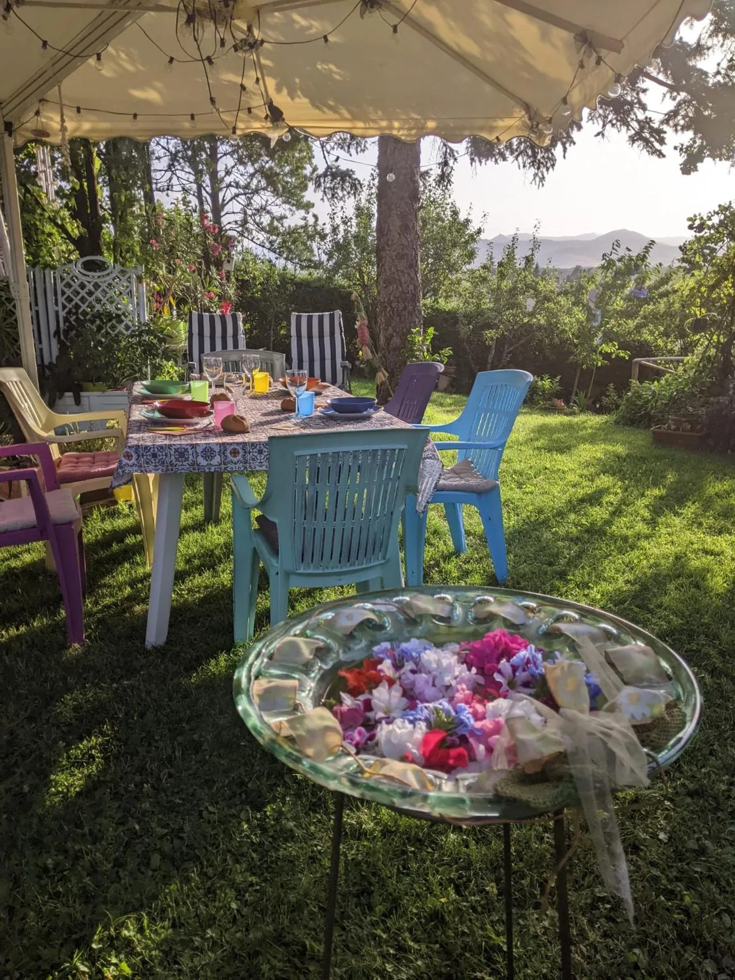 Garden in Nel giardino di Oz