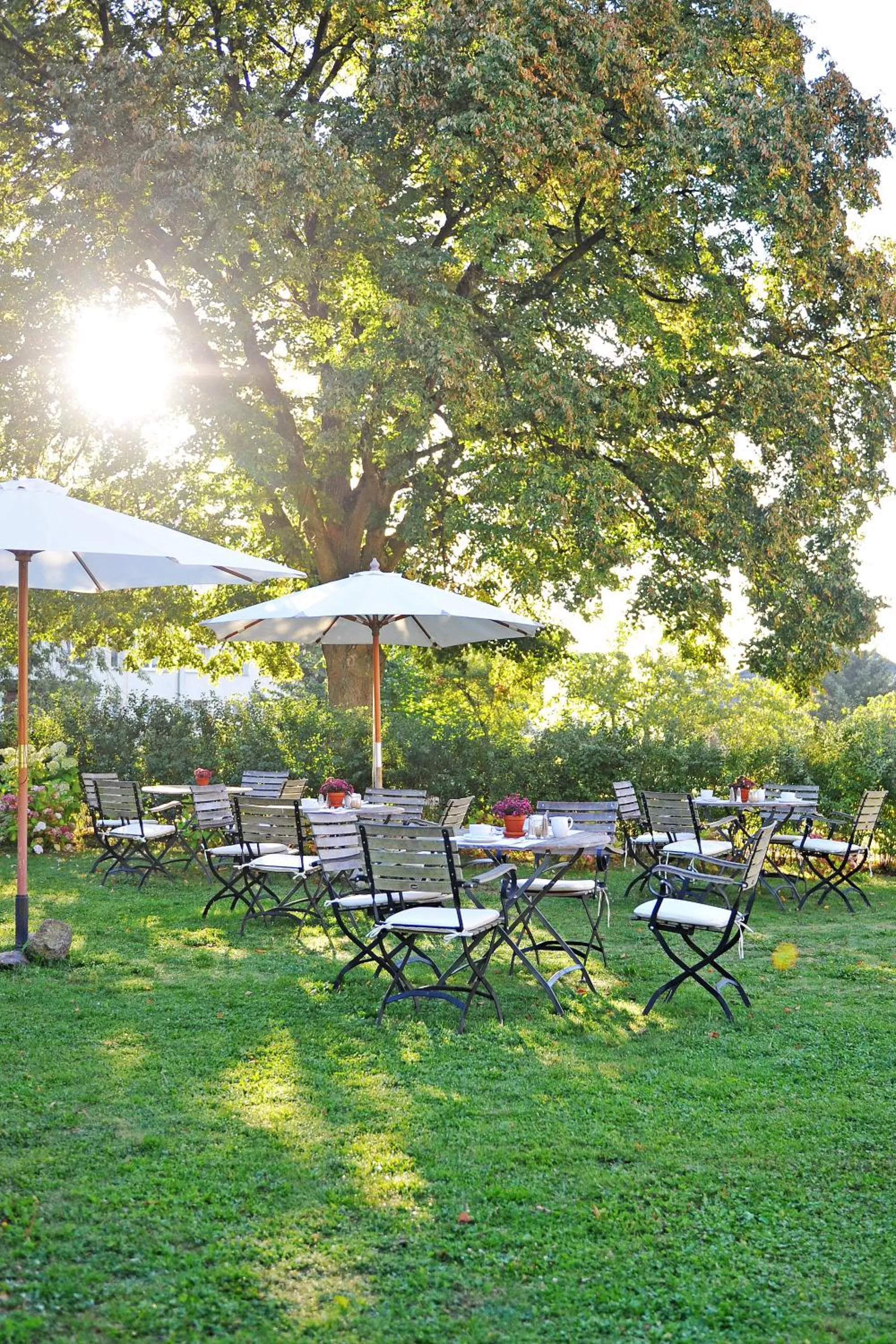 Restaurant/places to eat in Kavaliershaus Schloß Blücher am Finckenersee