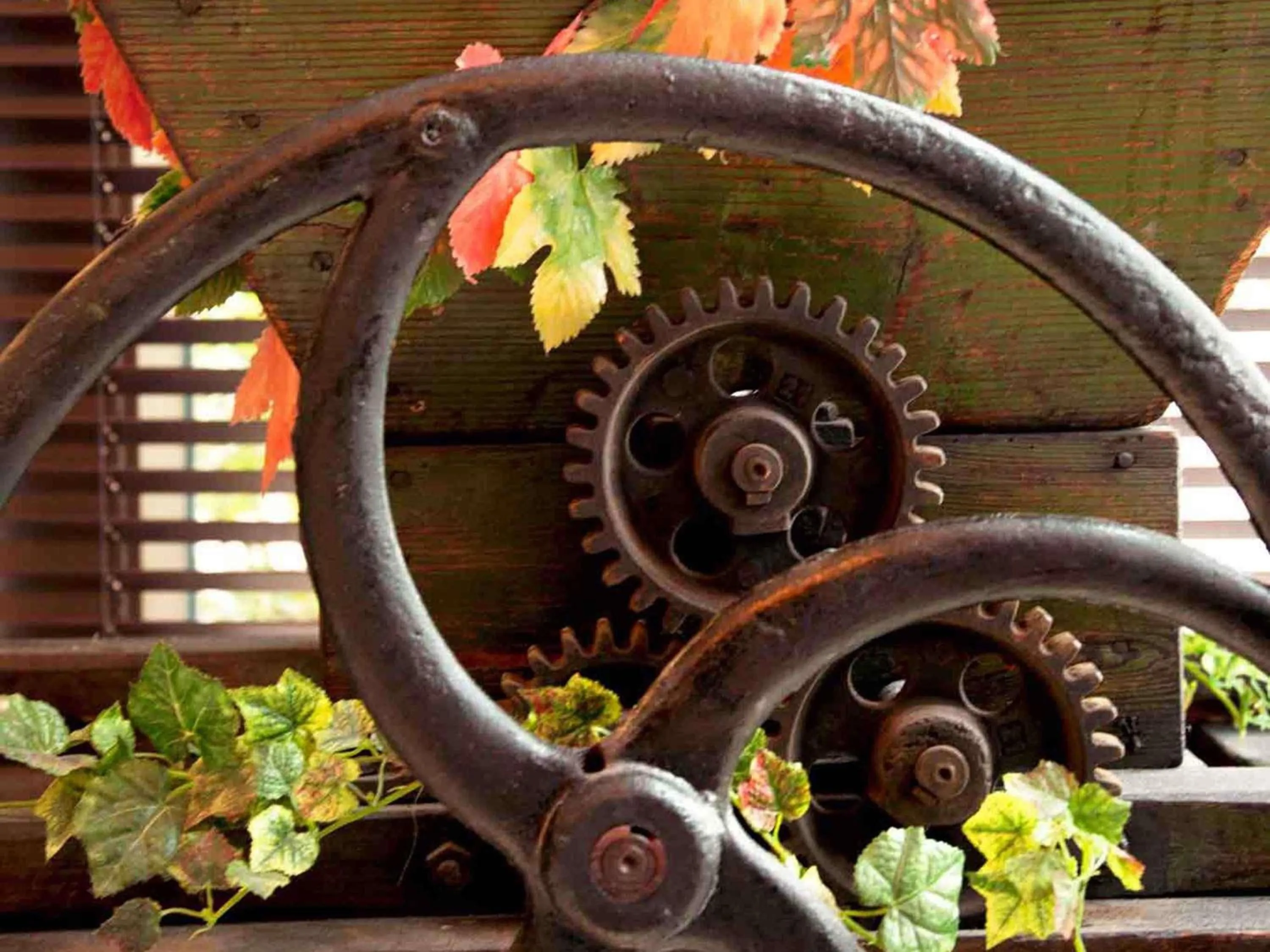 Other in Mercure Hotel Koblenz