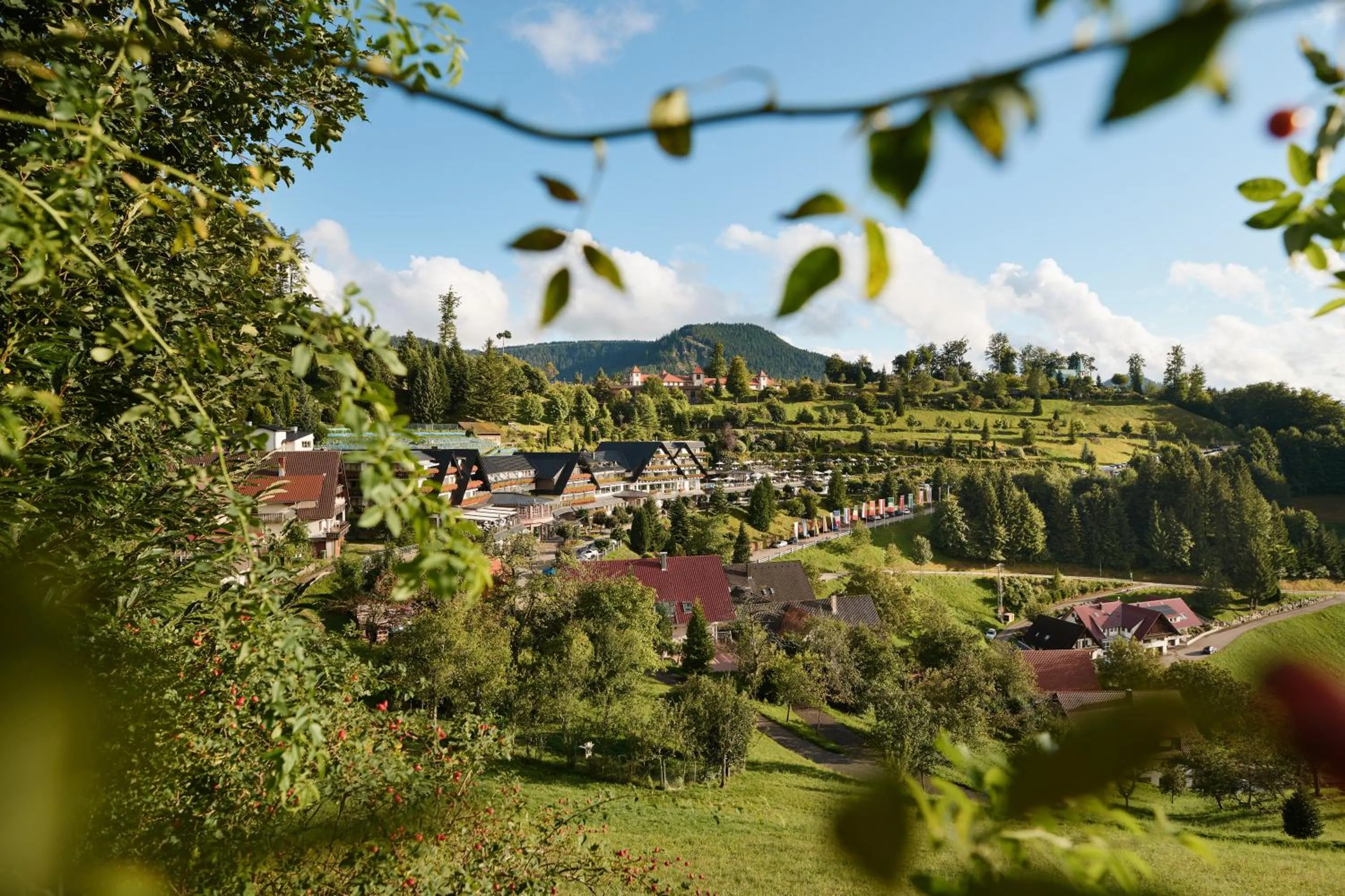 Hotel Dollenberg