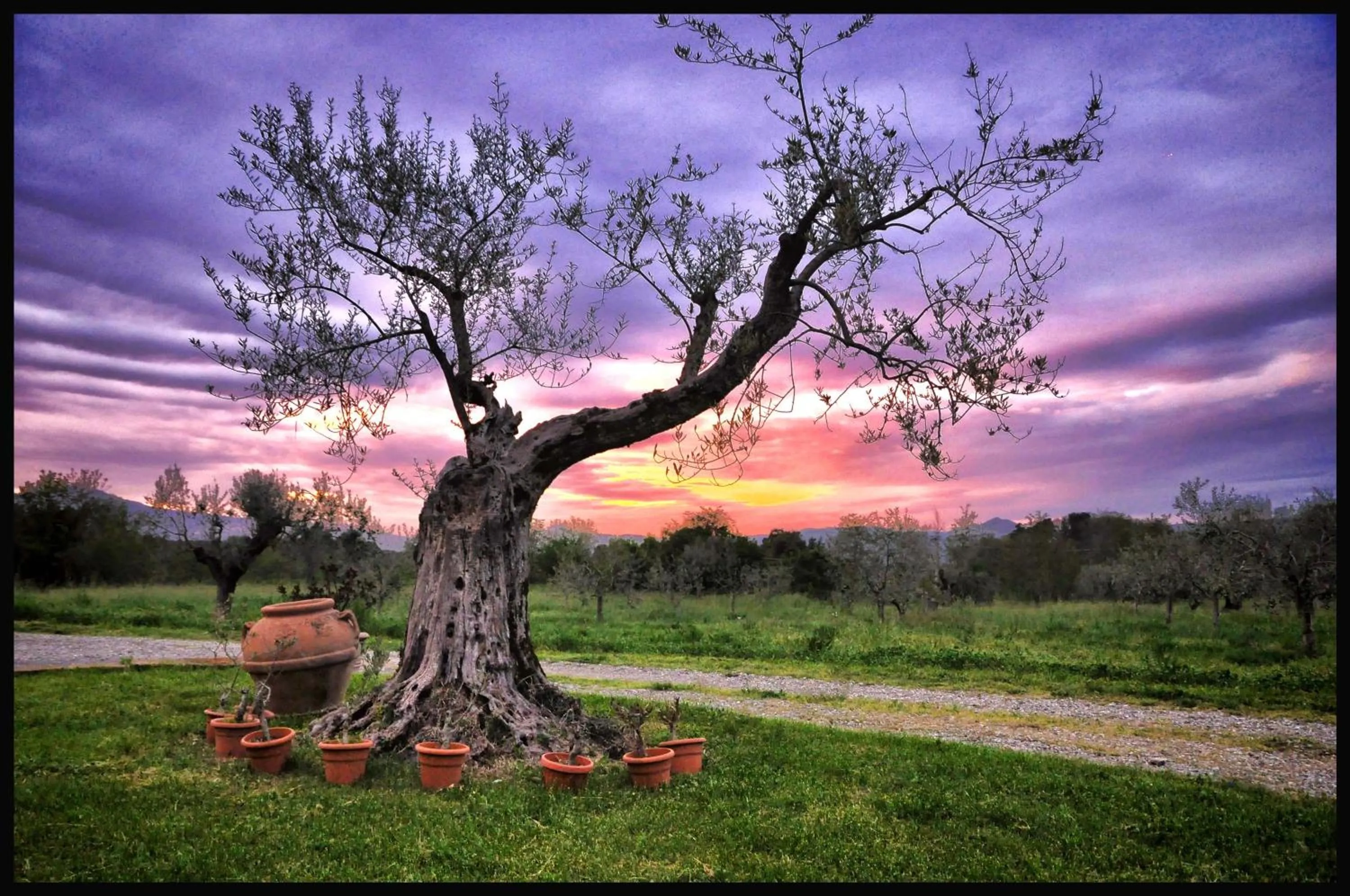 B&B Predio San Fernando