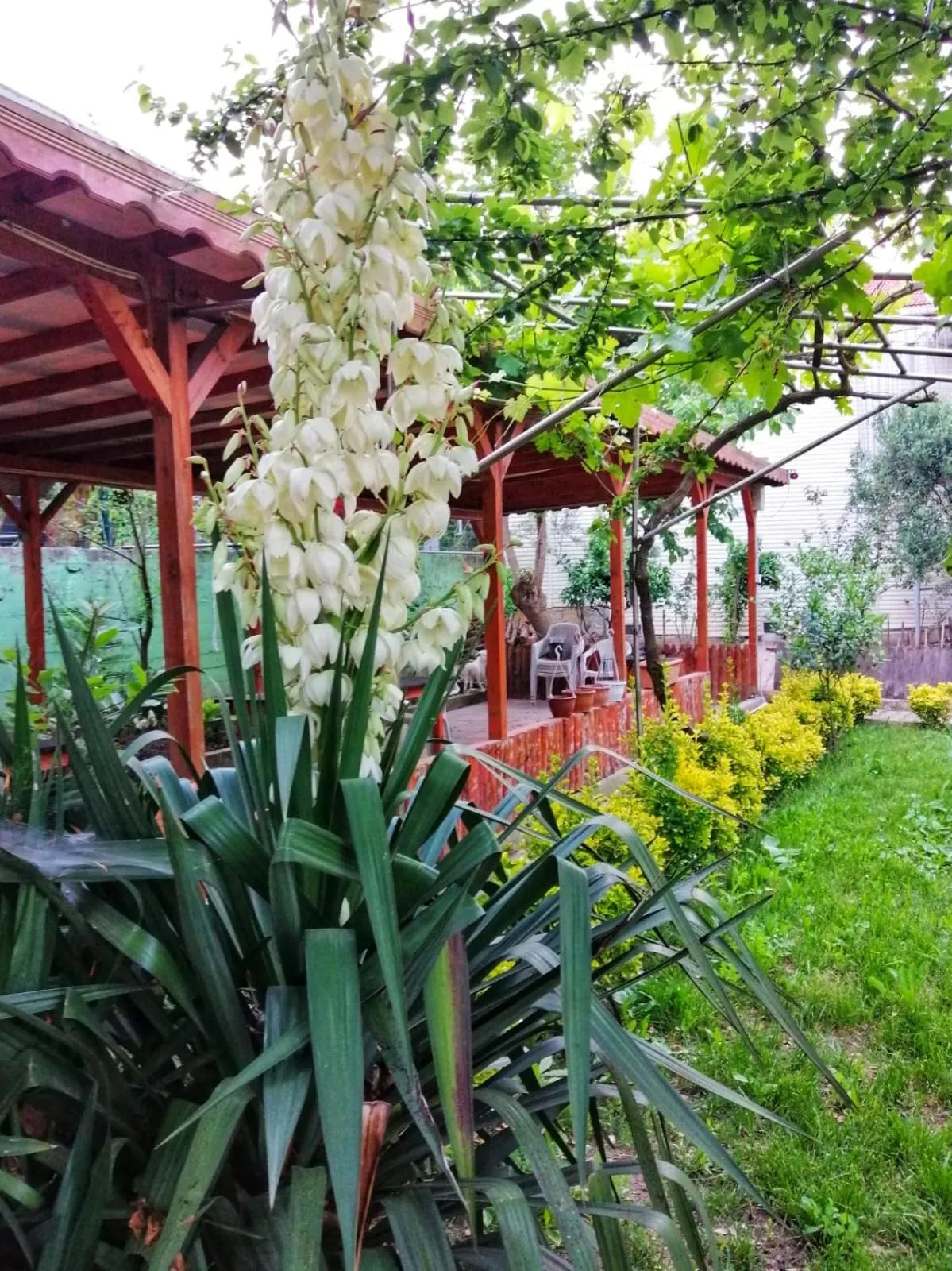 Garden in KILIÇ MOTEL
