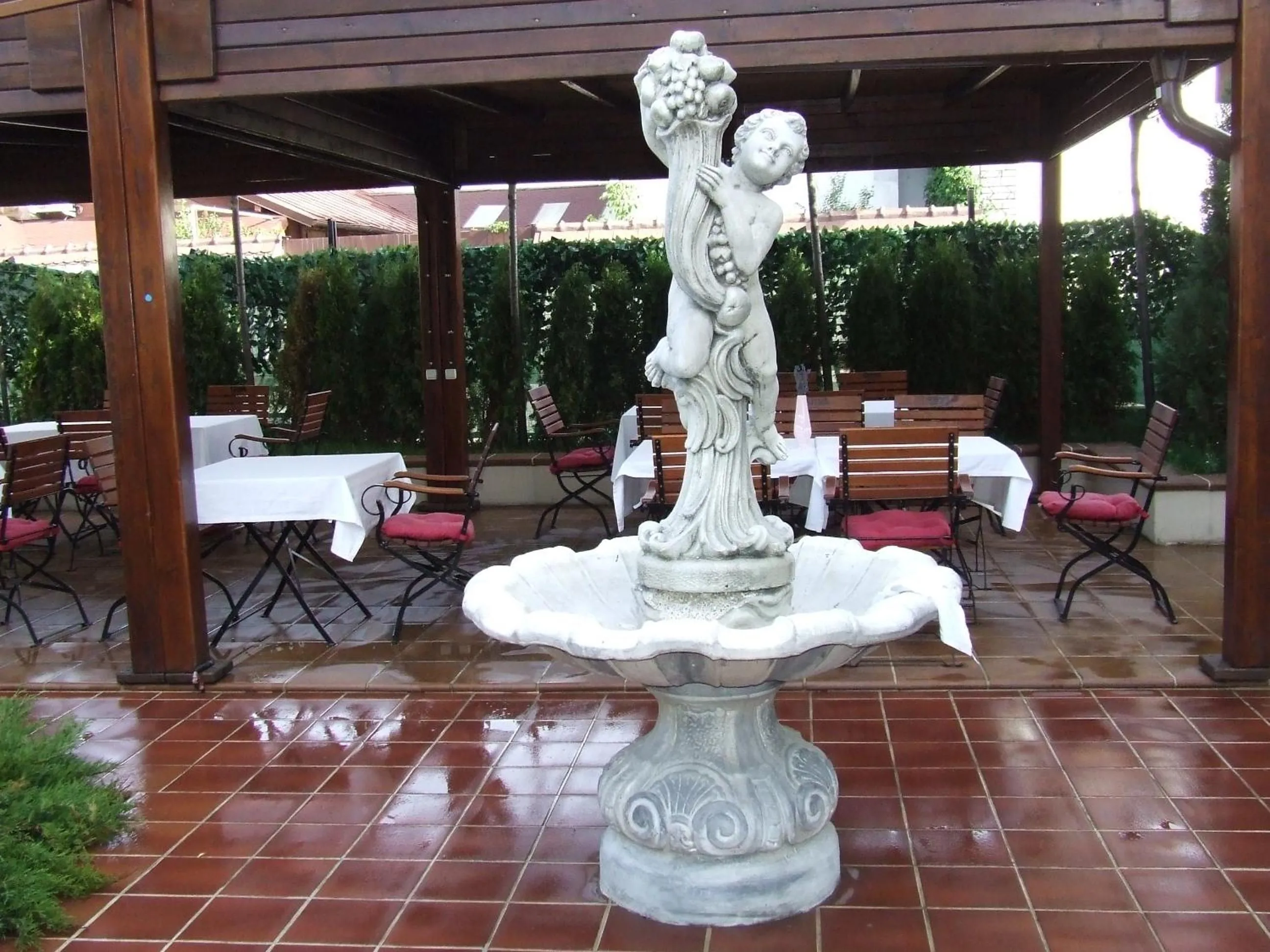 Restaurant/places to eat in Hotel Senator