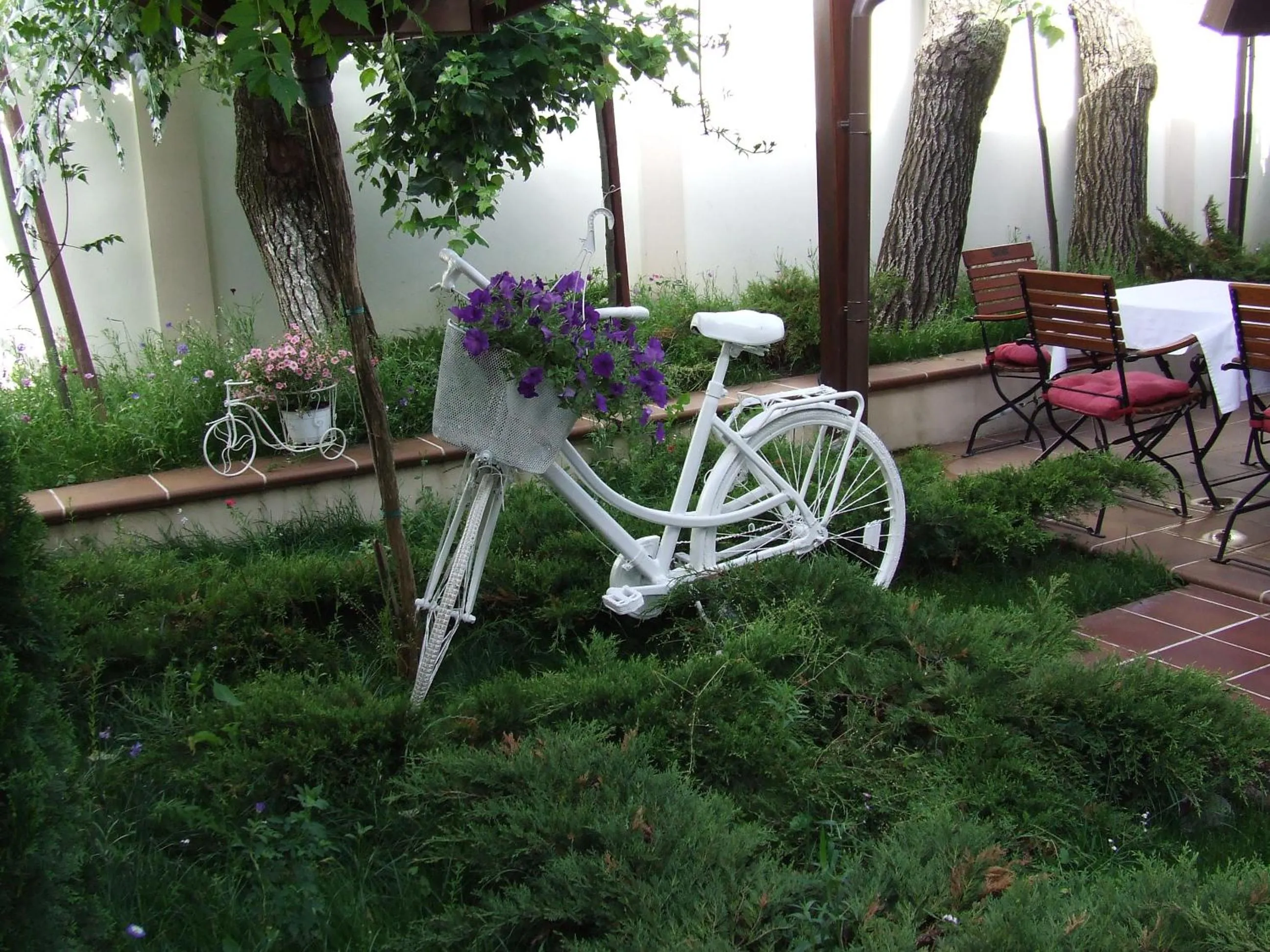 Restaurant/places to eat in Hotel Senator