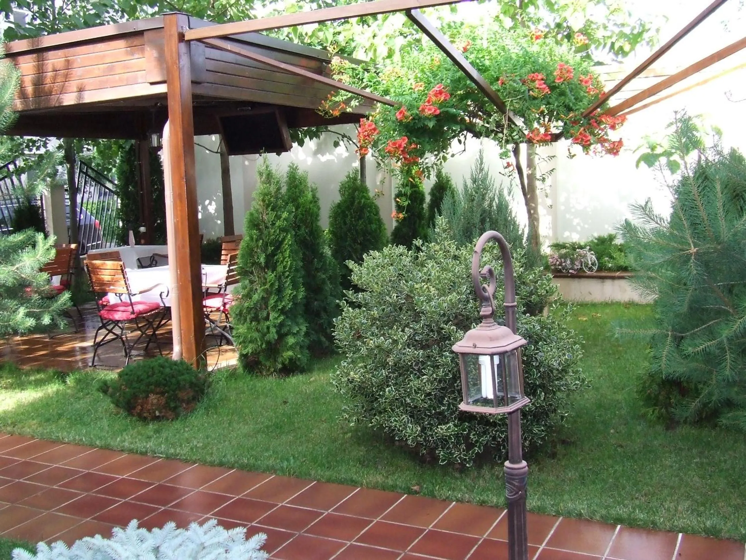 Restaurant/places to eat in Hotel Senator