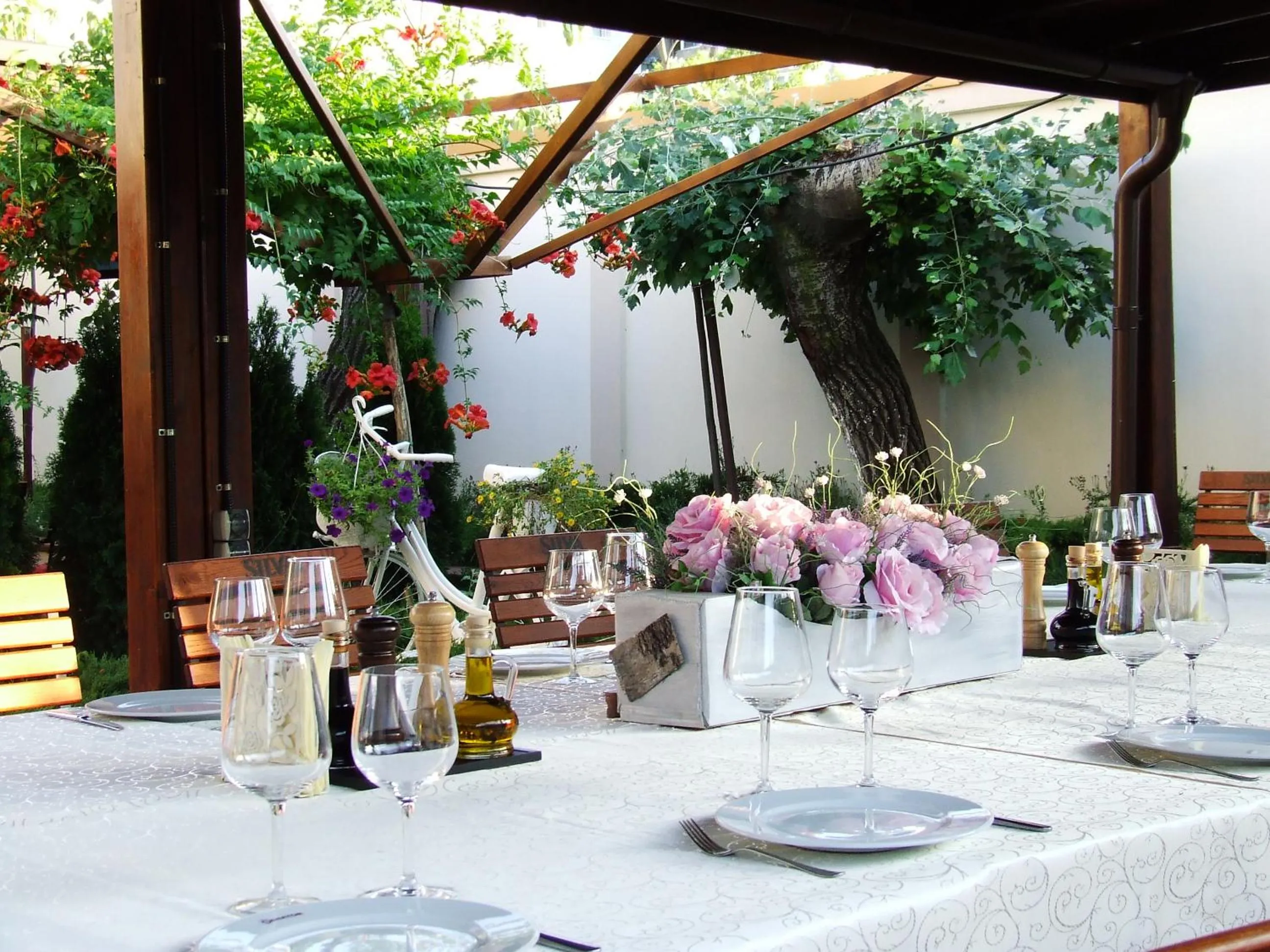 Restaurant/places to eat in Hotel Senator