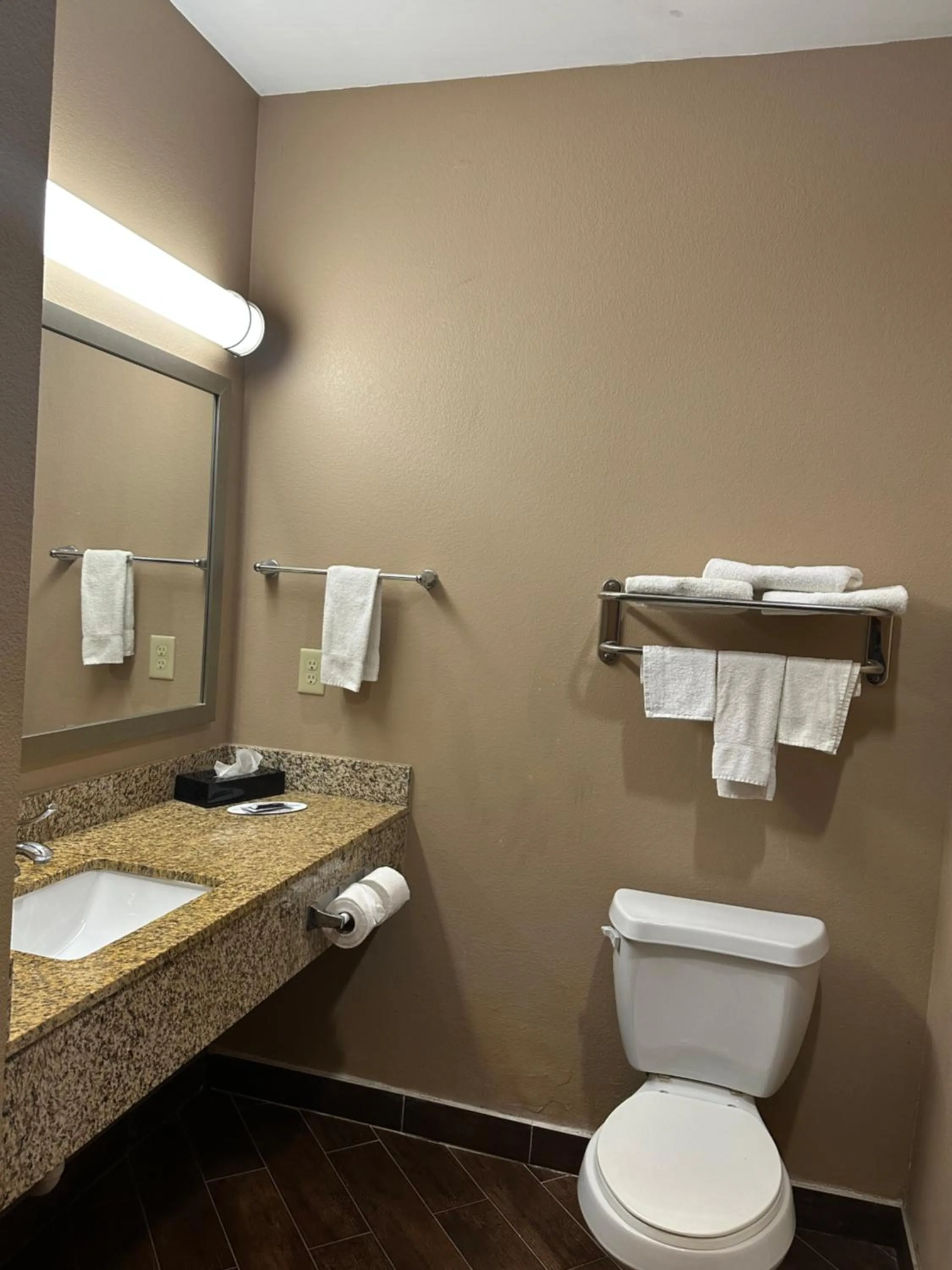 Toilet in Executive Inn & Suites