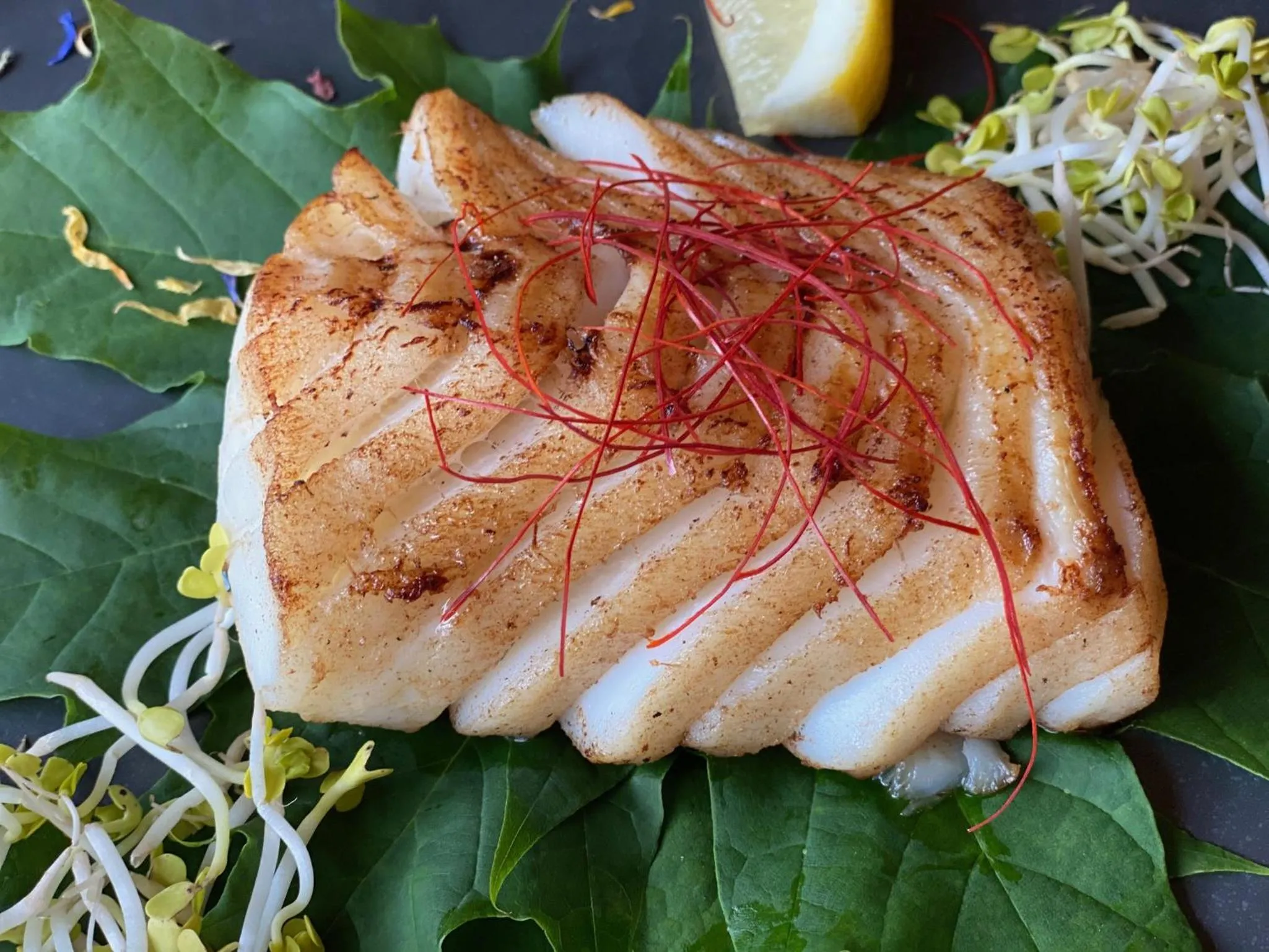 Food in Hotel Wegner - T h e culinary art hotel