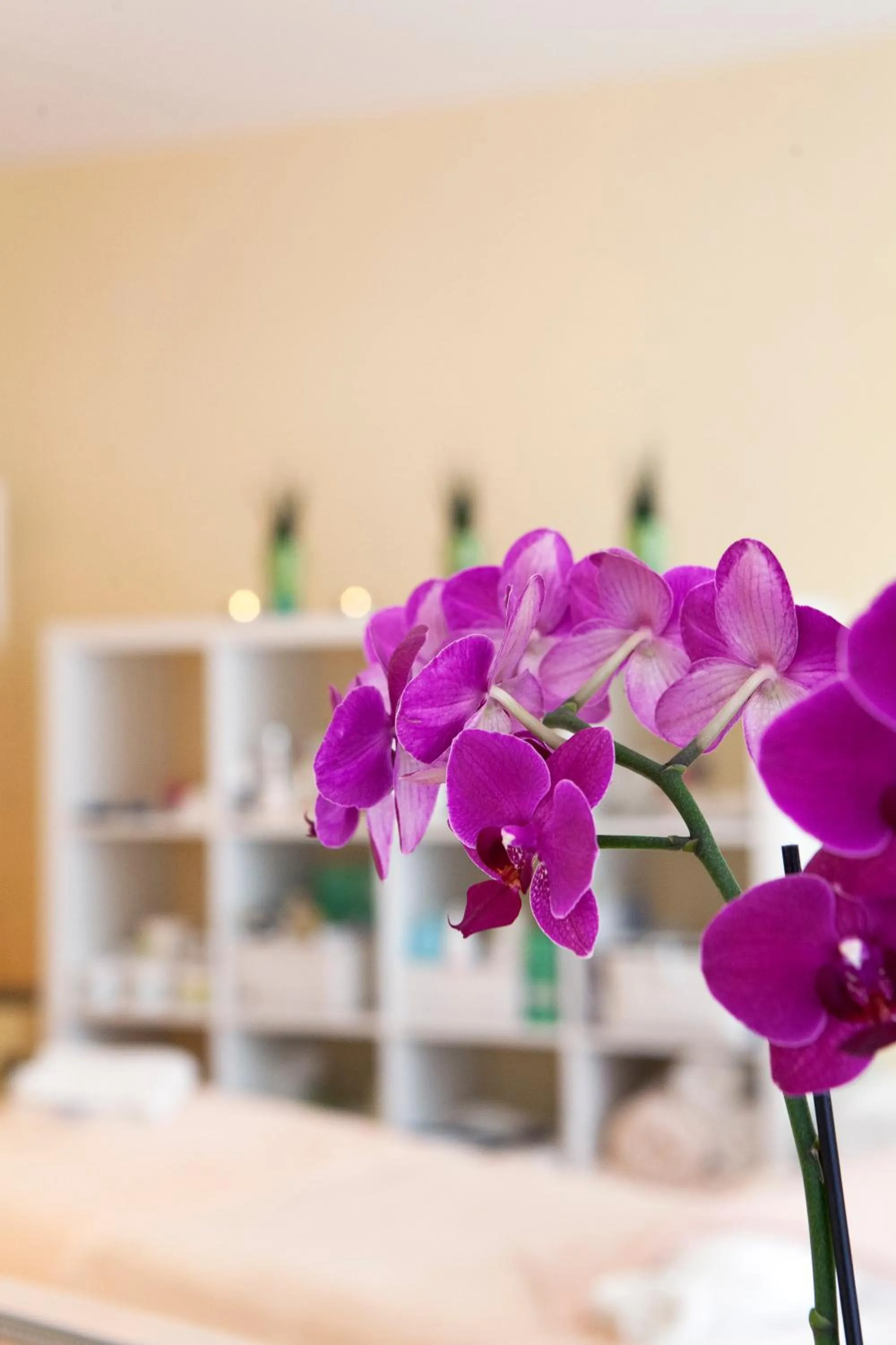 Massage in Mercure Hotel Panorama Freiburg