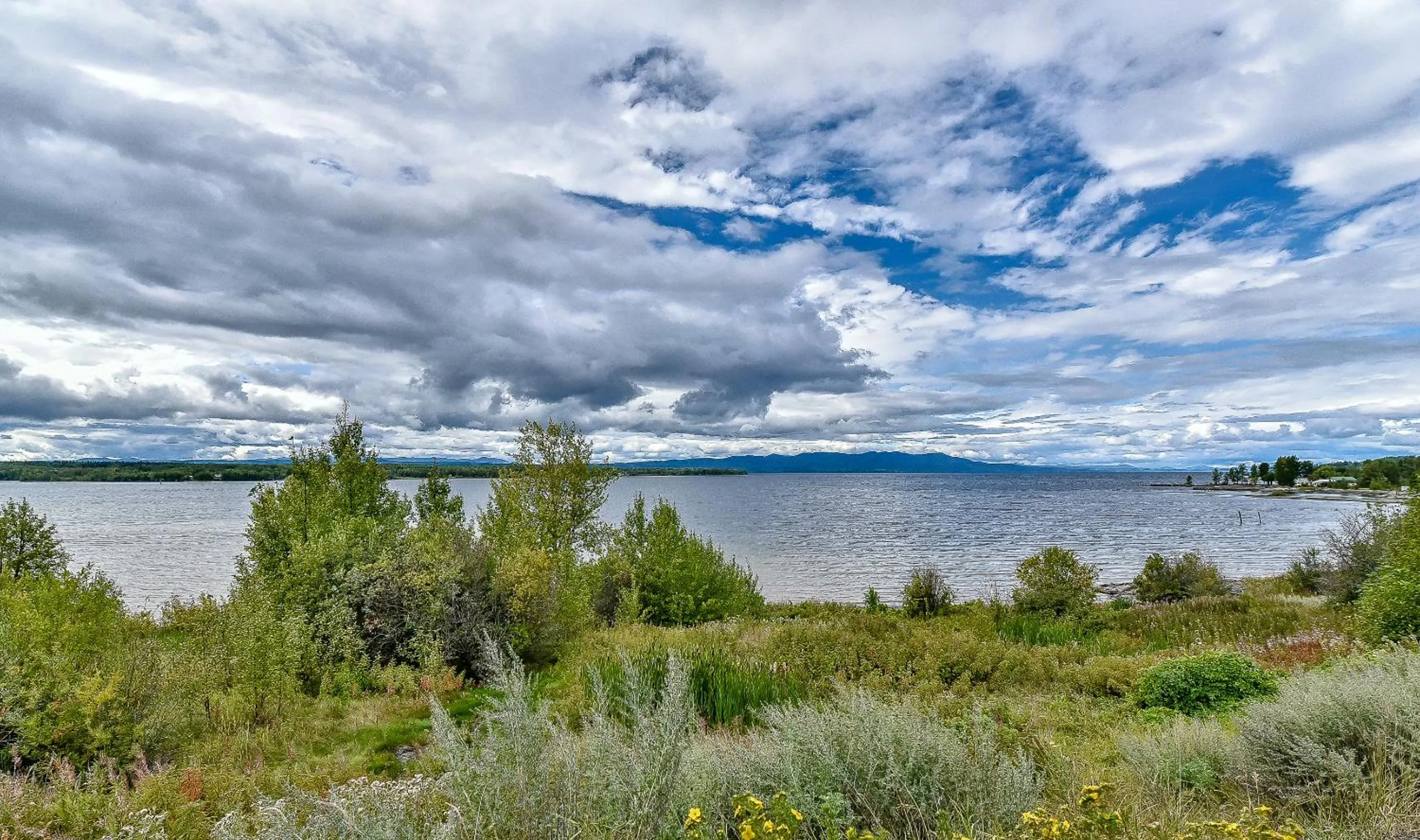 Natural landscape in The View Hotel