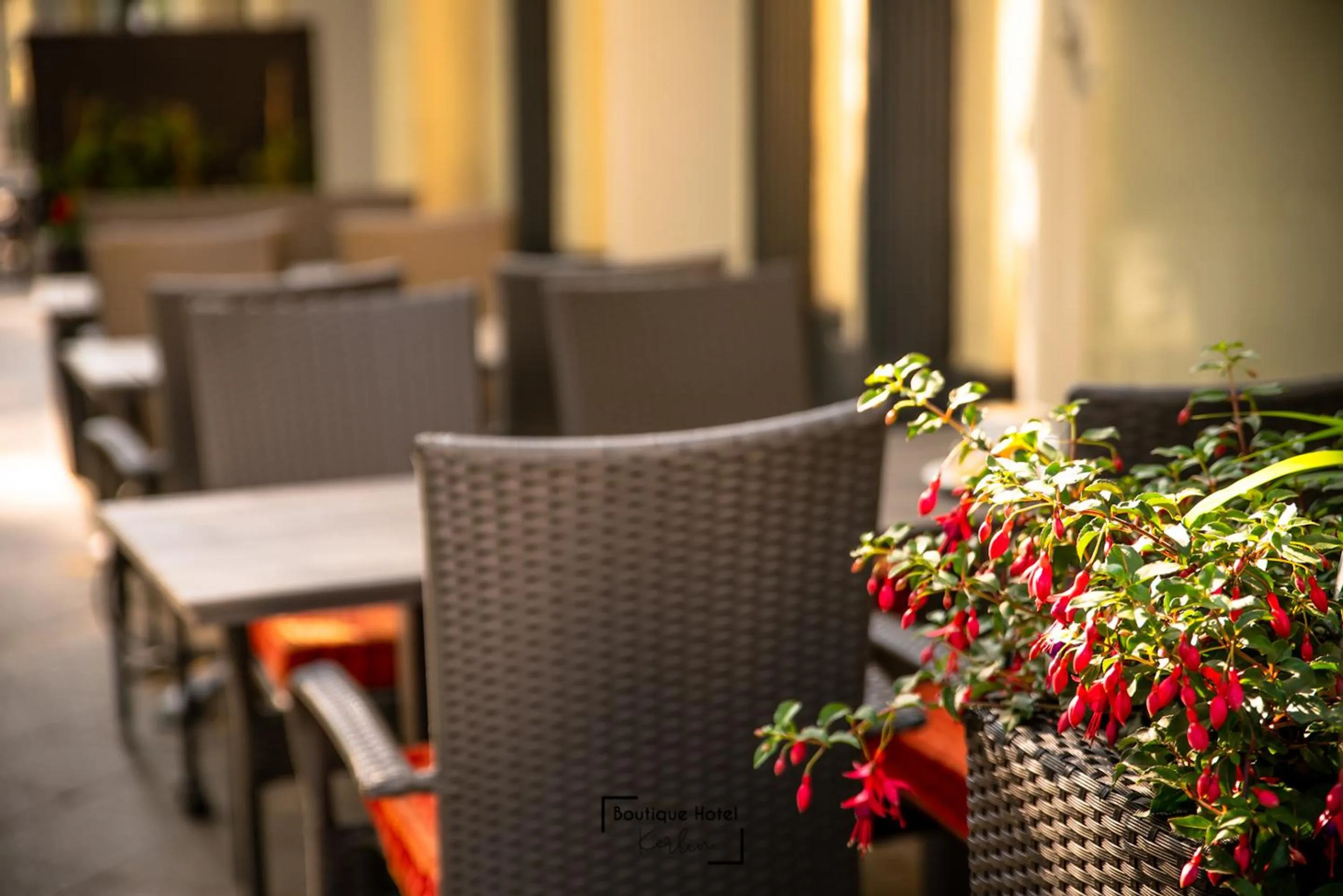 Restaurant/places to eat in Boutique Hotel Kerlin