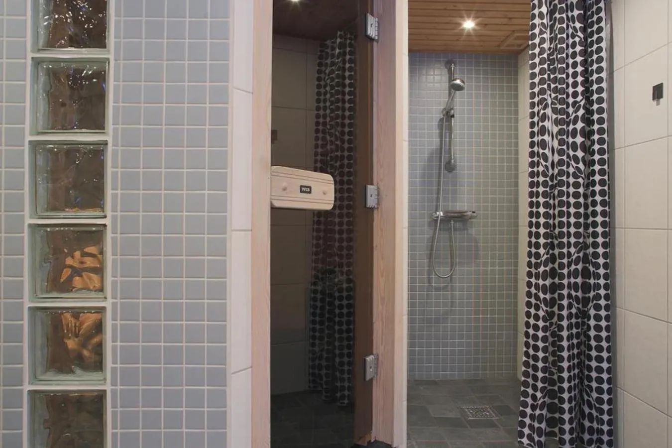 Sauna in RIBO Apartment Aurora