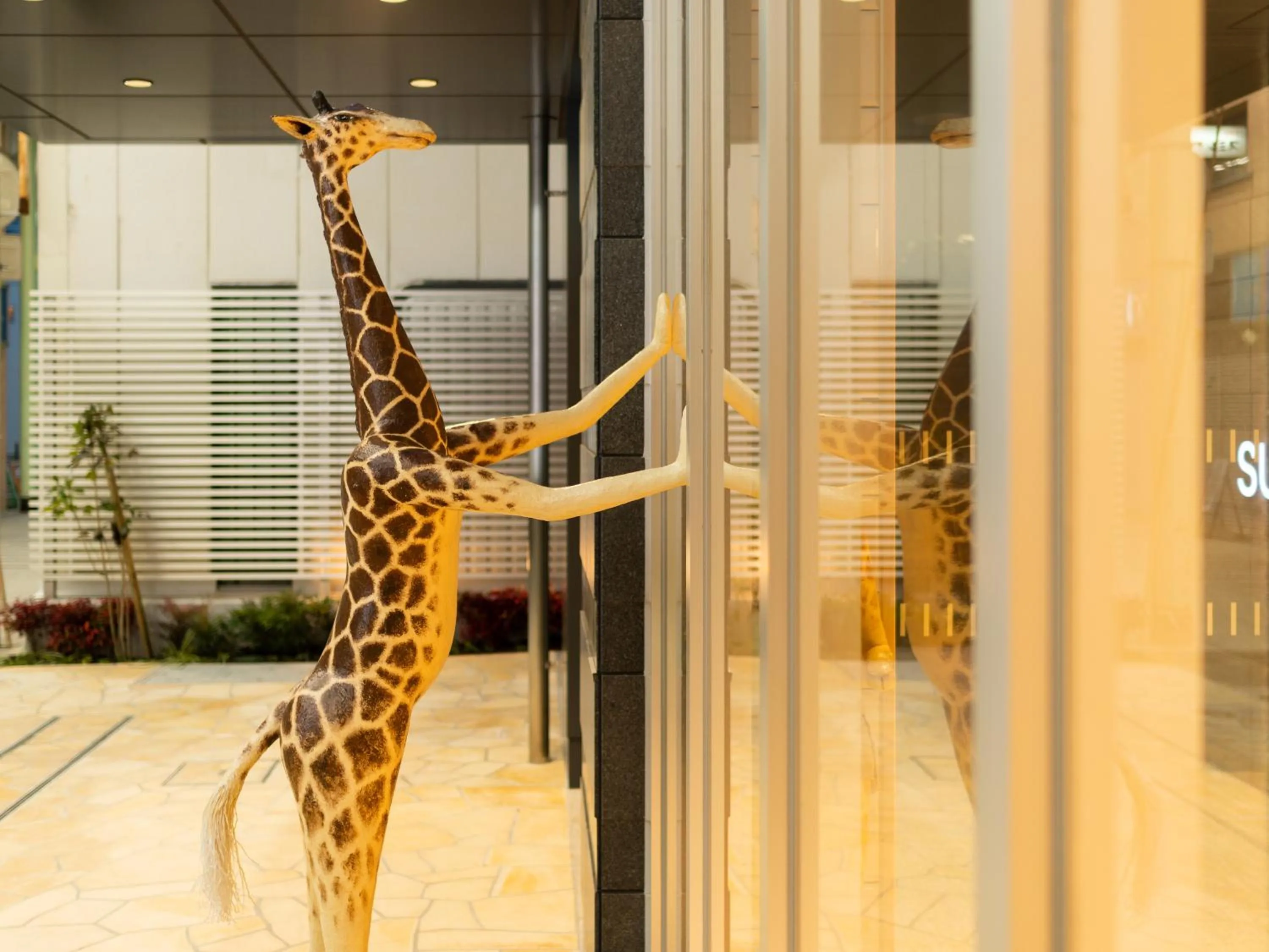 Facade/entrance in Super Hotel Marugame Ekimae