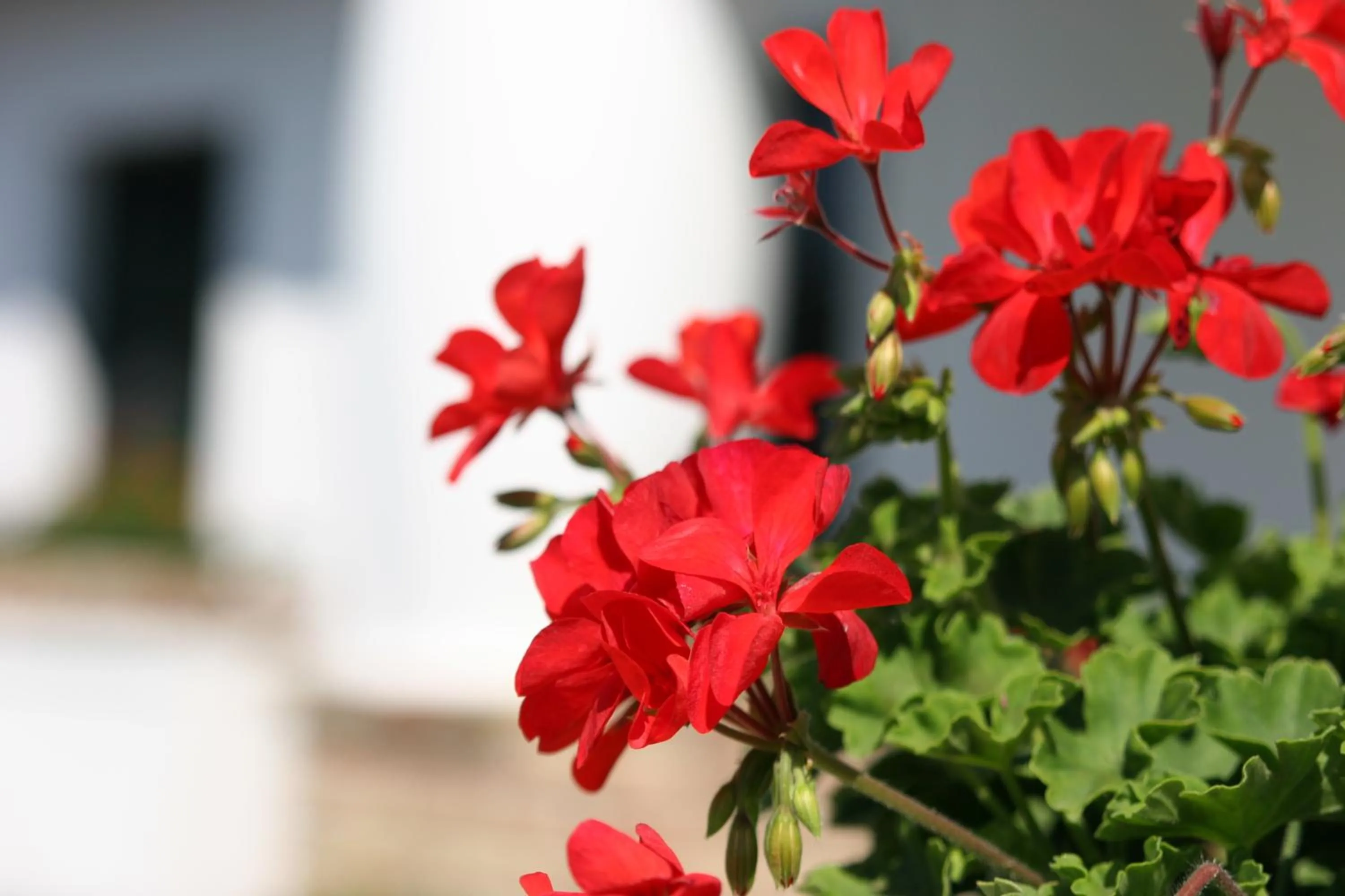 Facade/entrance in Pálos Resort