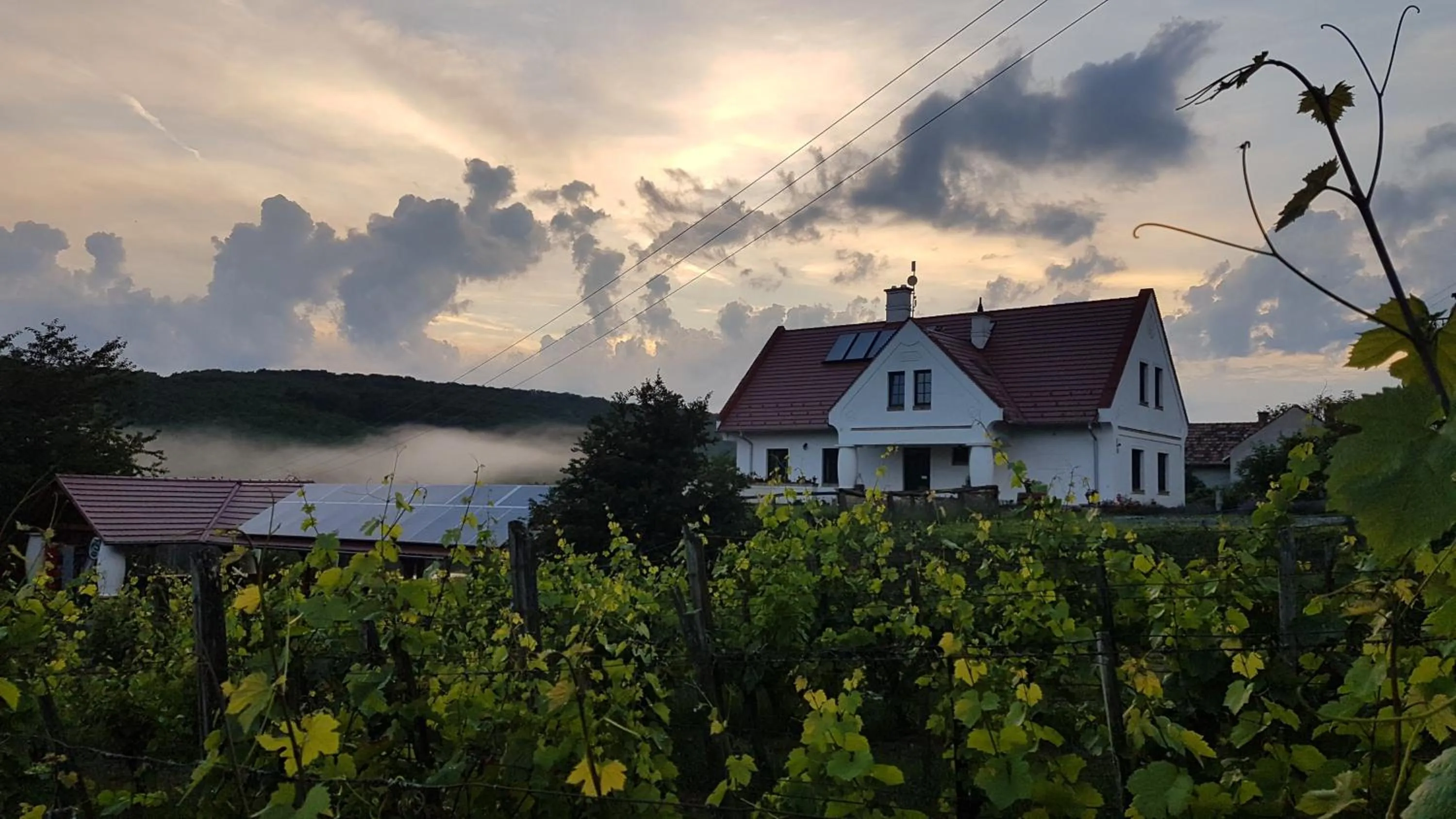 Property building in Pálos Resort