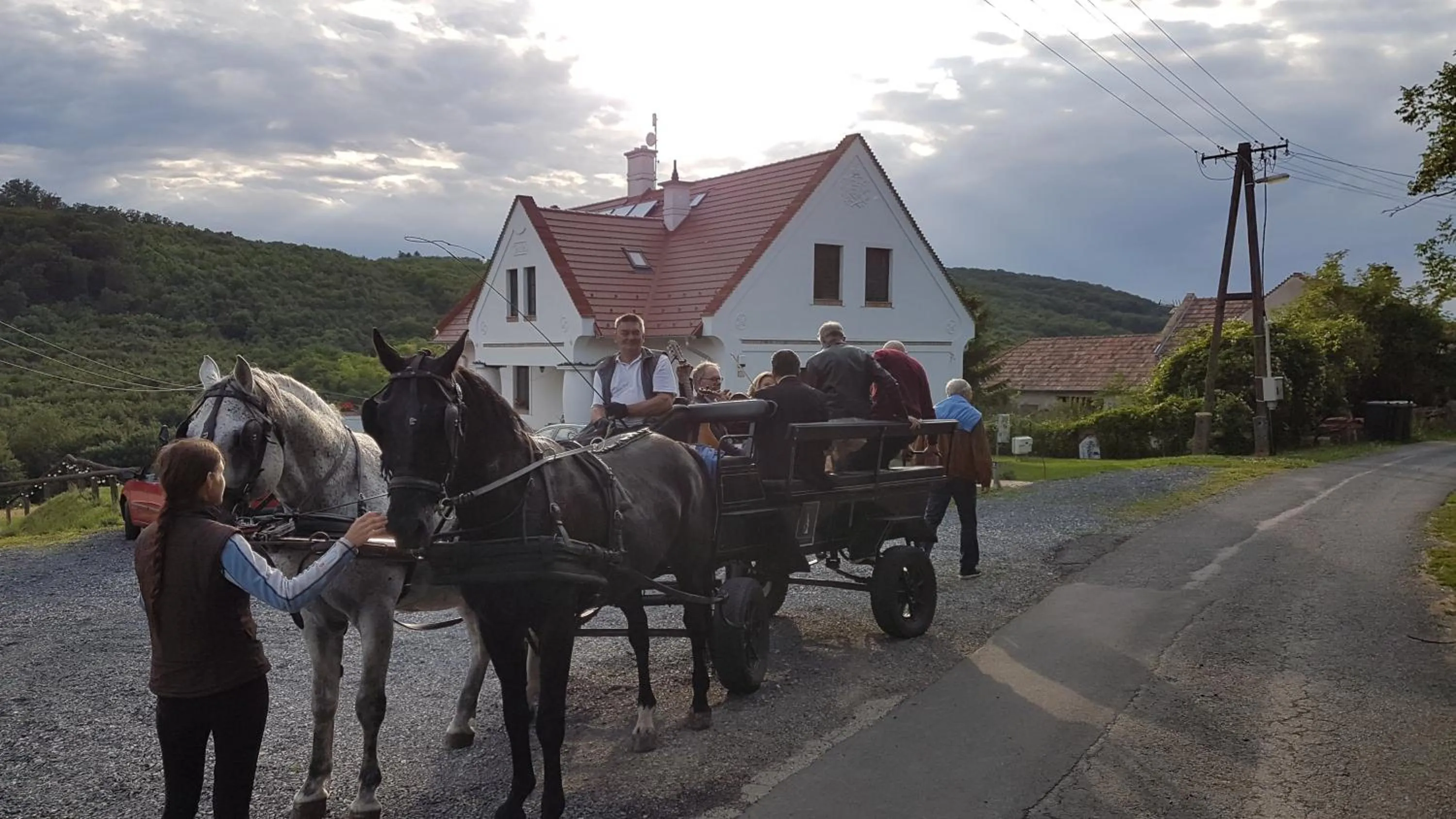 Horse-riding in Pálos Resort
