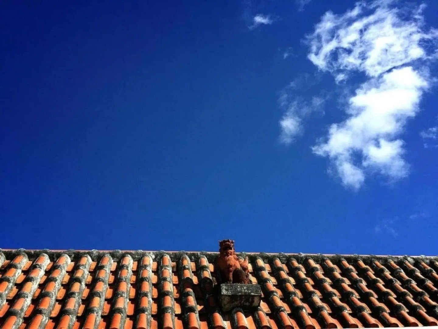 Neighbourhood in CHATAN SEASIDE FLAT VILLA